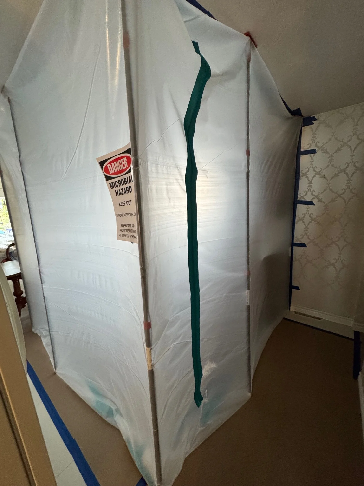 Attic containment installed to isolate mold-affected areas during professional mold remediation.