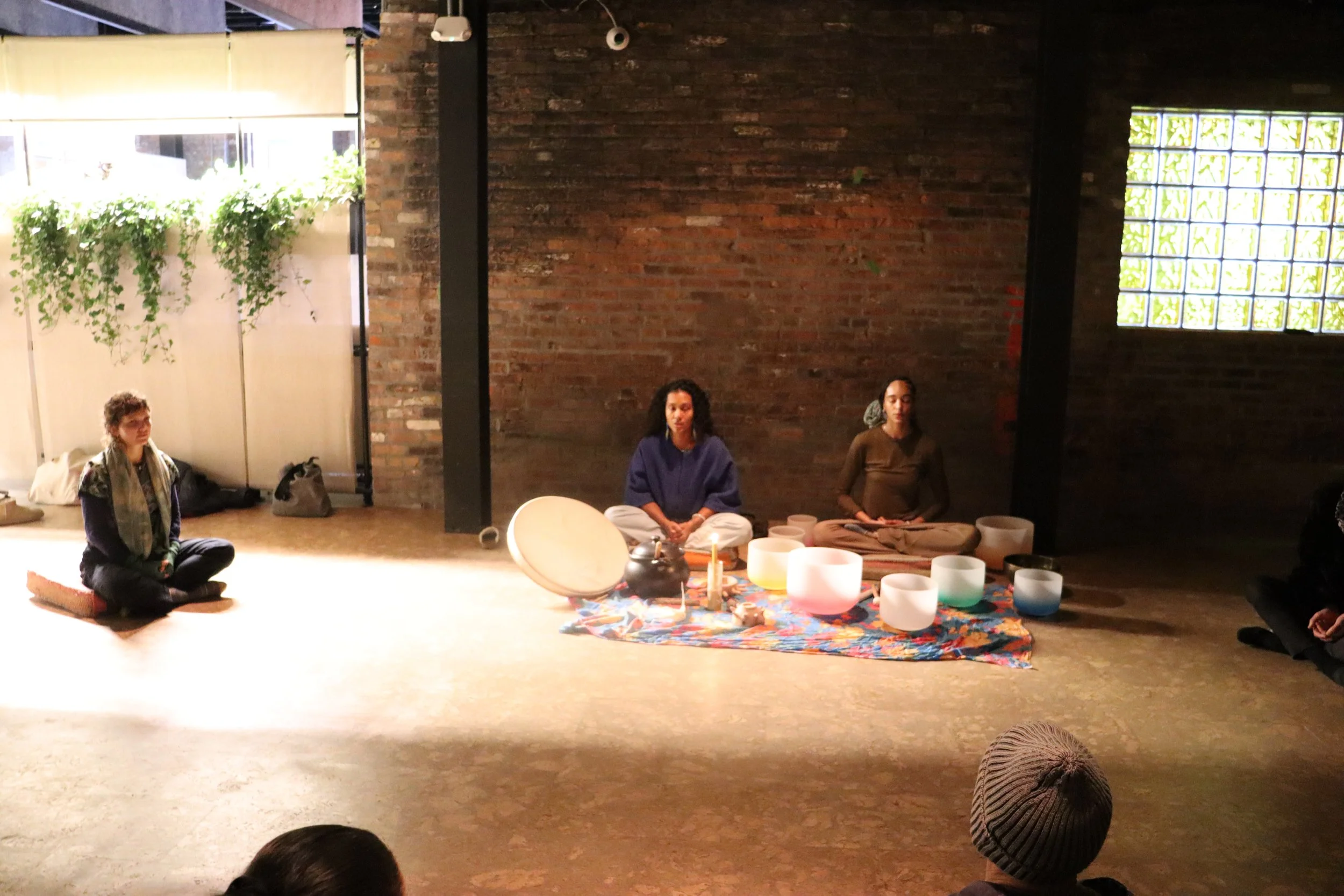 SEEDLINGS GROW HOUSE 