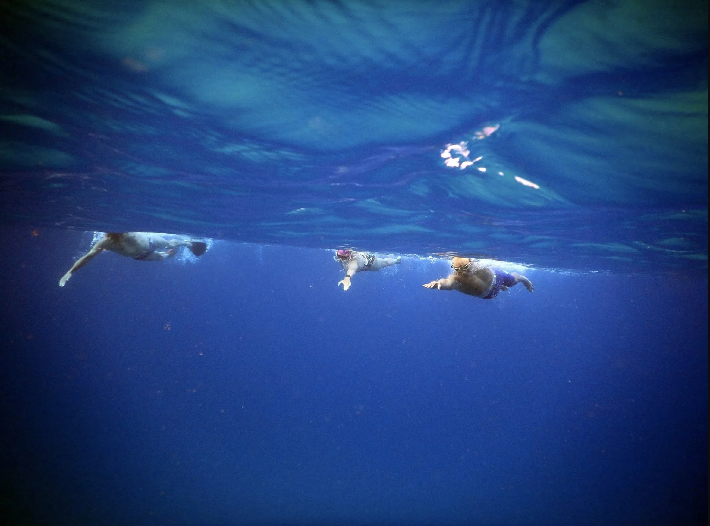 Waikiki Swim Club Members Participate in a Race