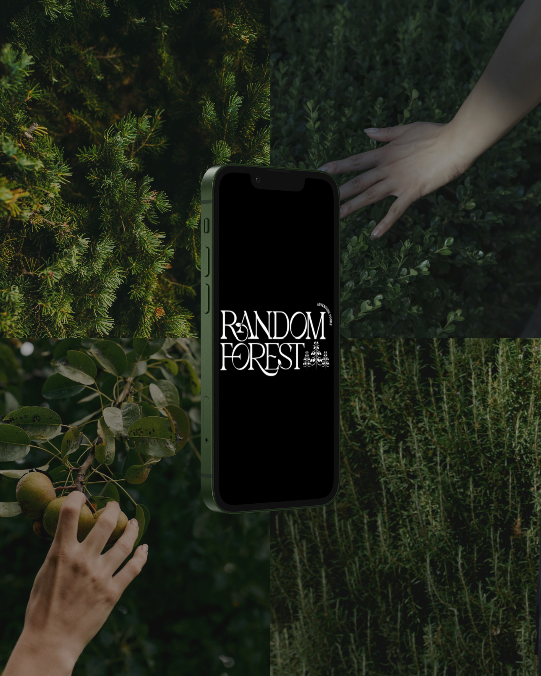 Random Forest 1.png