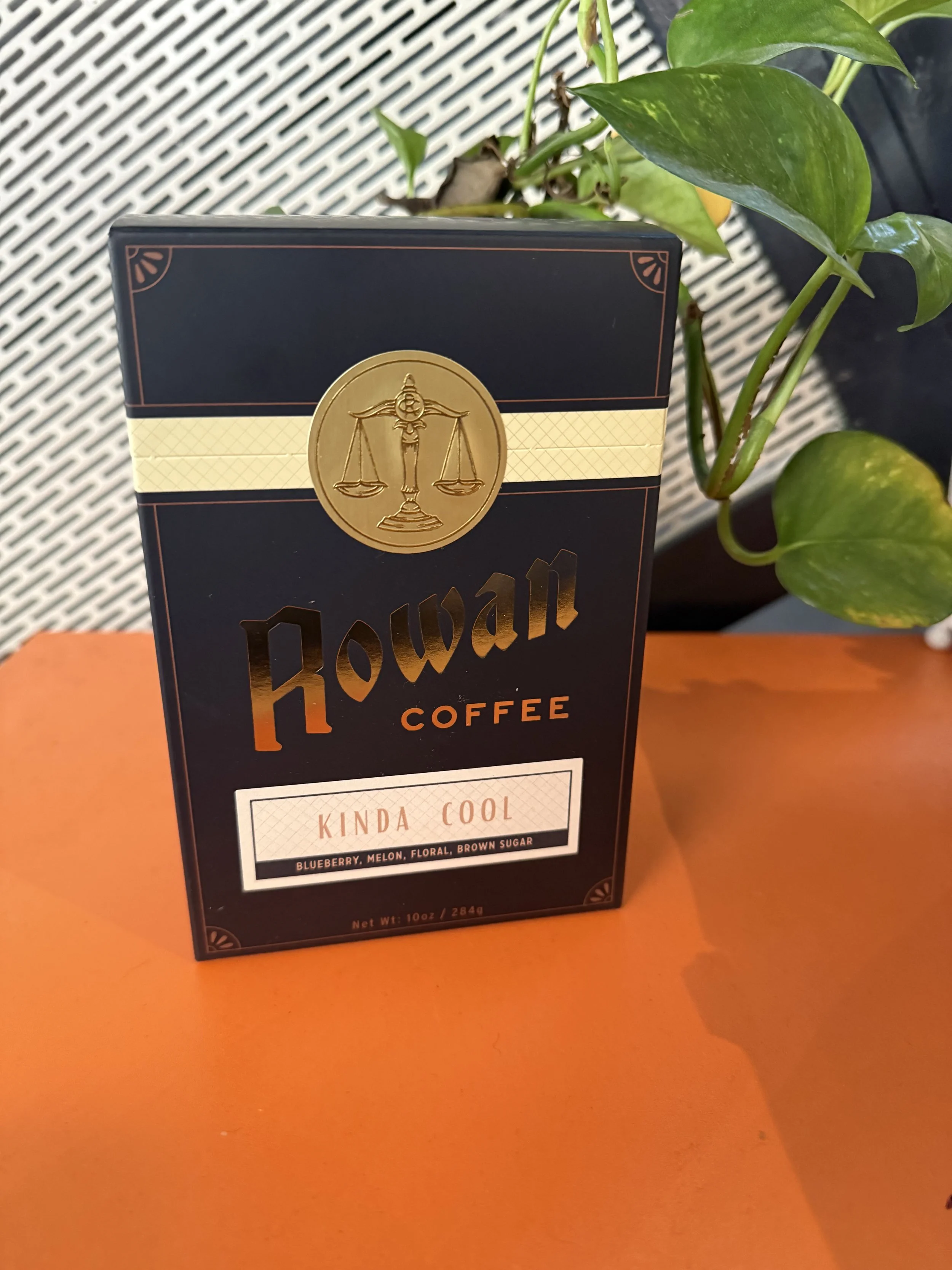 KINDA COOL Whole Bean Coffee (10 oz)