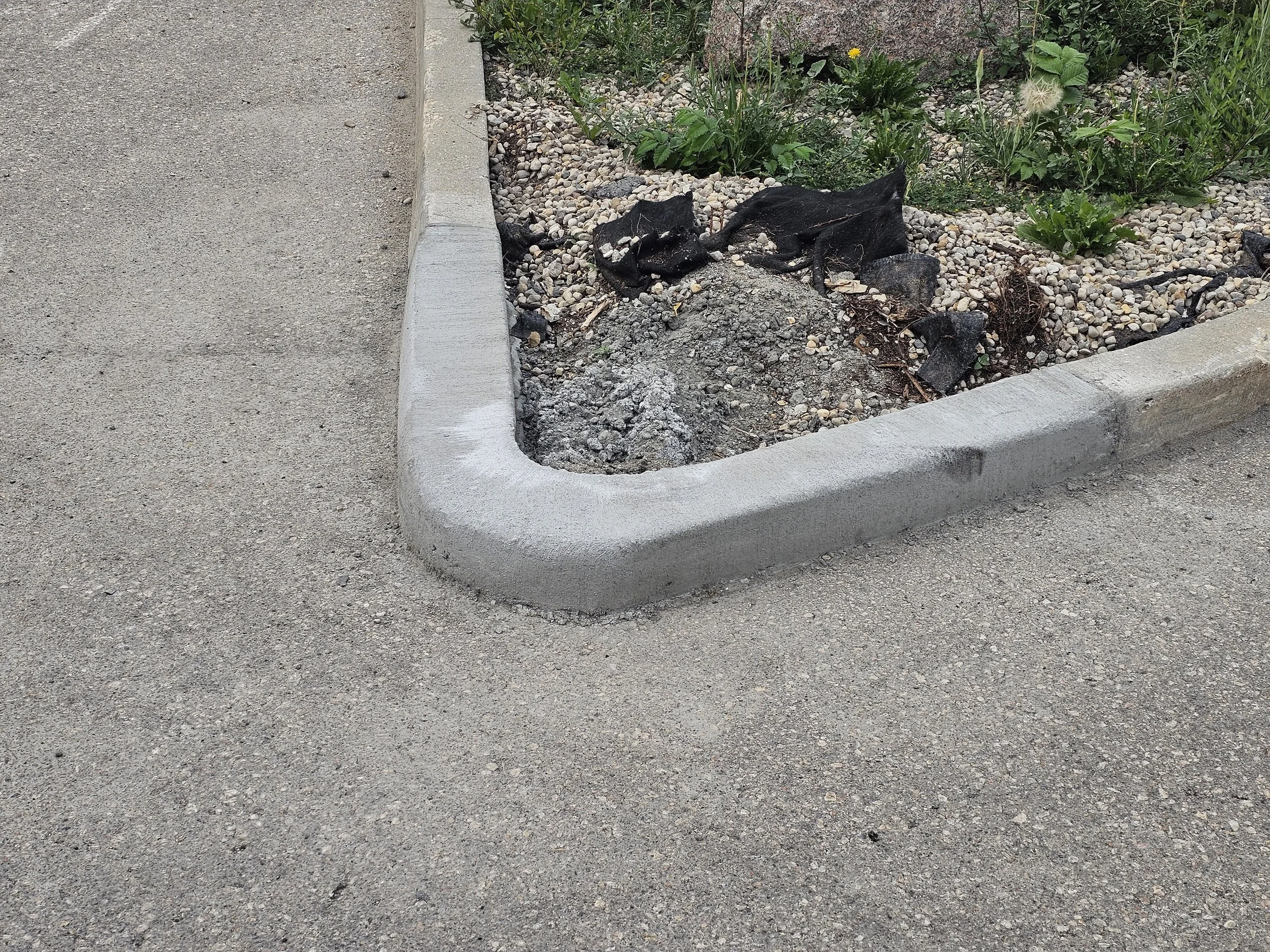 Repaired concrete curb that was damaged during the winter.