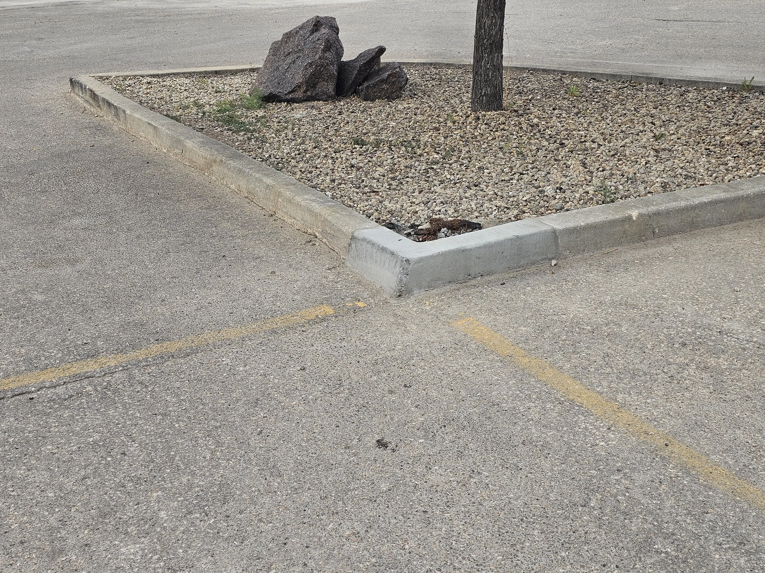 Repaired concrete curb that was damaged during the winter.