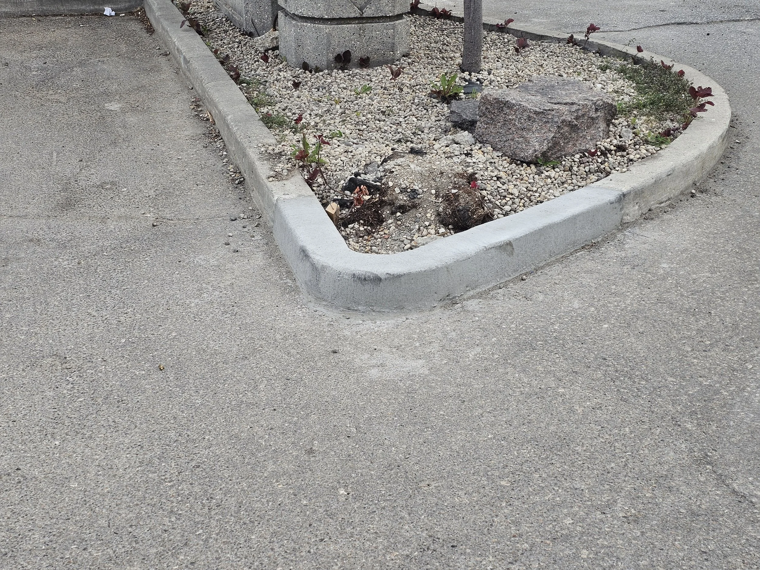 Repaired concrete curb that was damaged during the winter.