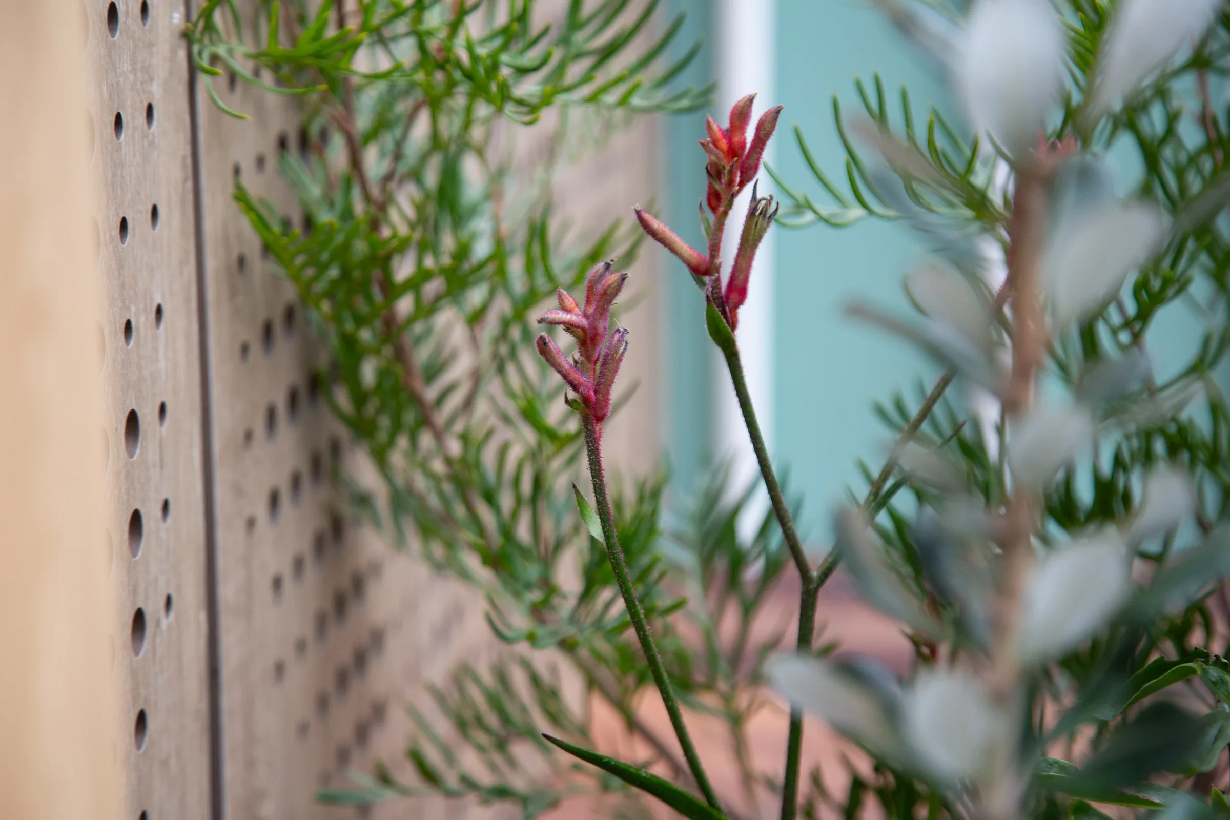 MIFGS_2026_Oasis in the Sky-14.webp