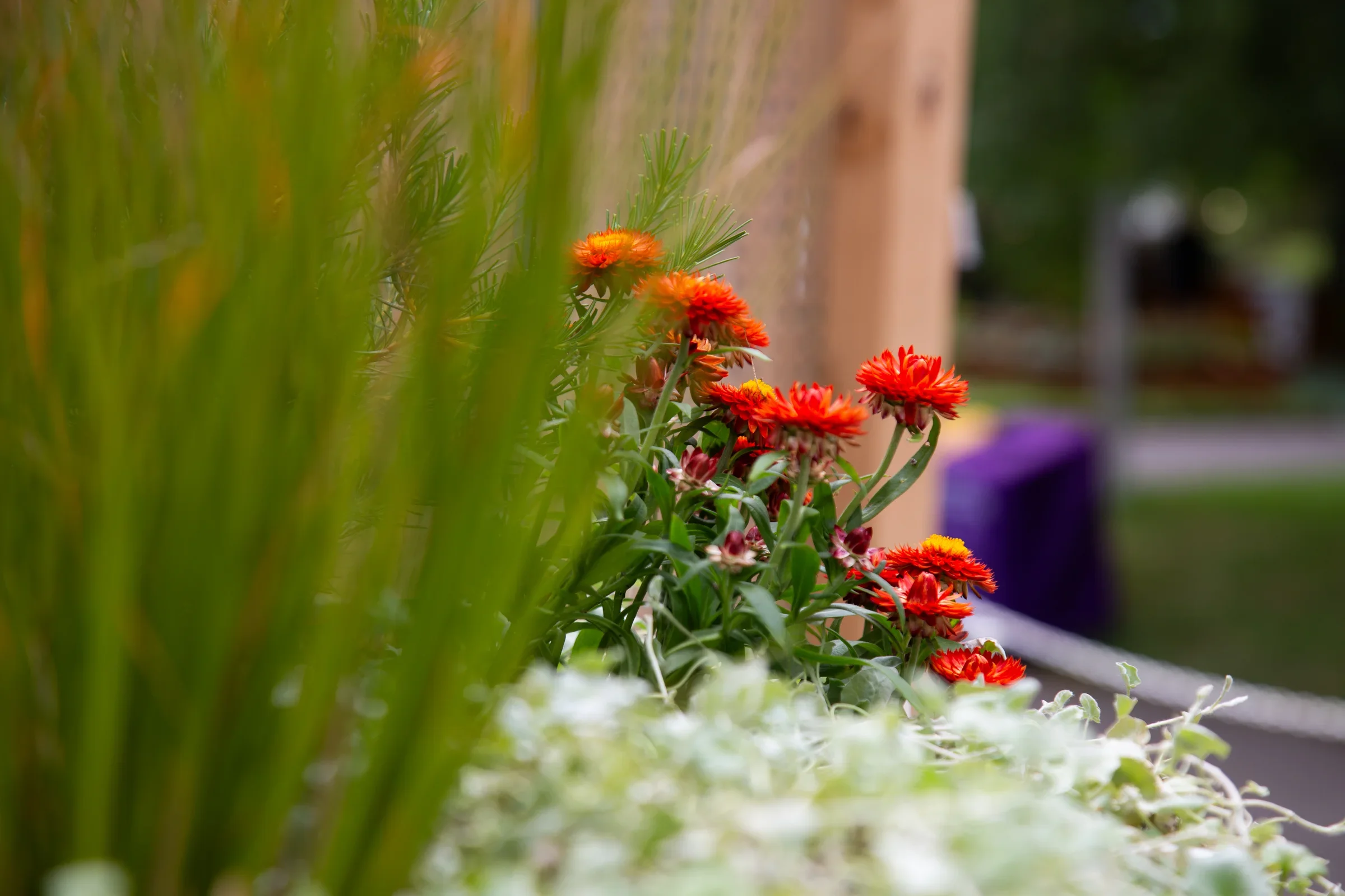 MIFGS_2026_Oasis in the Sky-60.webp