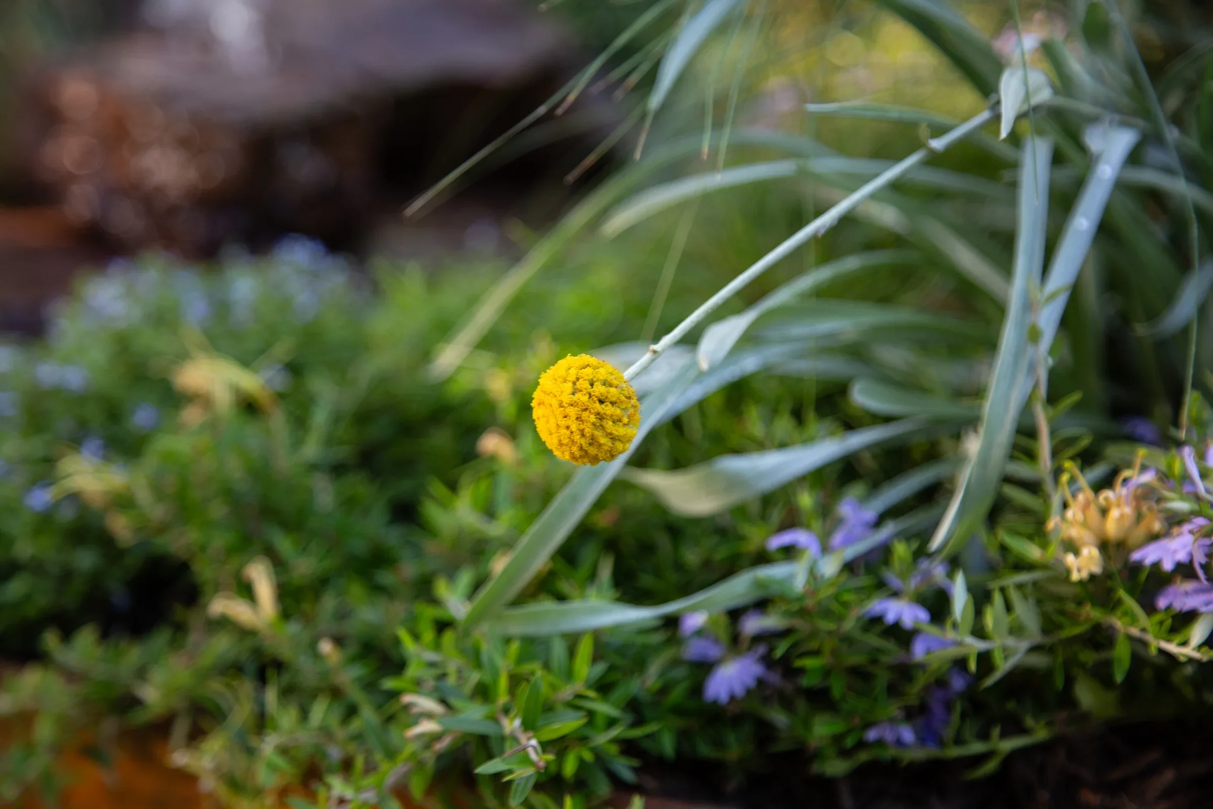 MIFGS_2026_Boutique Garden-18.webp