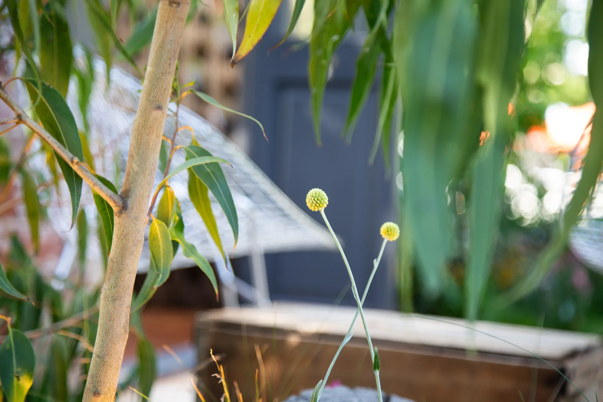 MIFGS_2026_Boutique Garden-09.webp