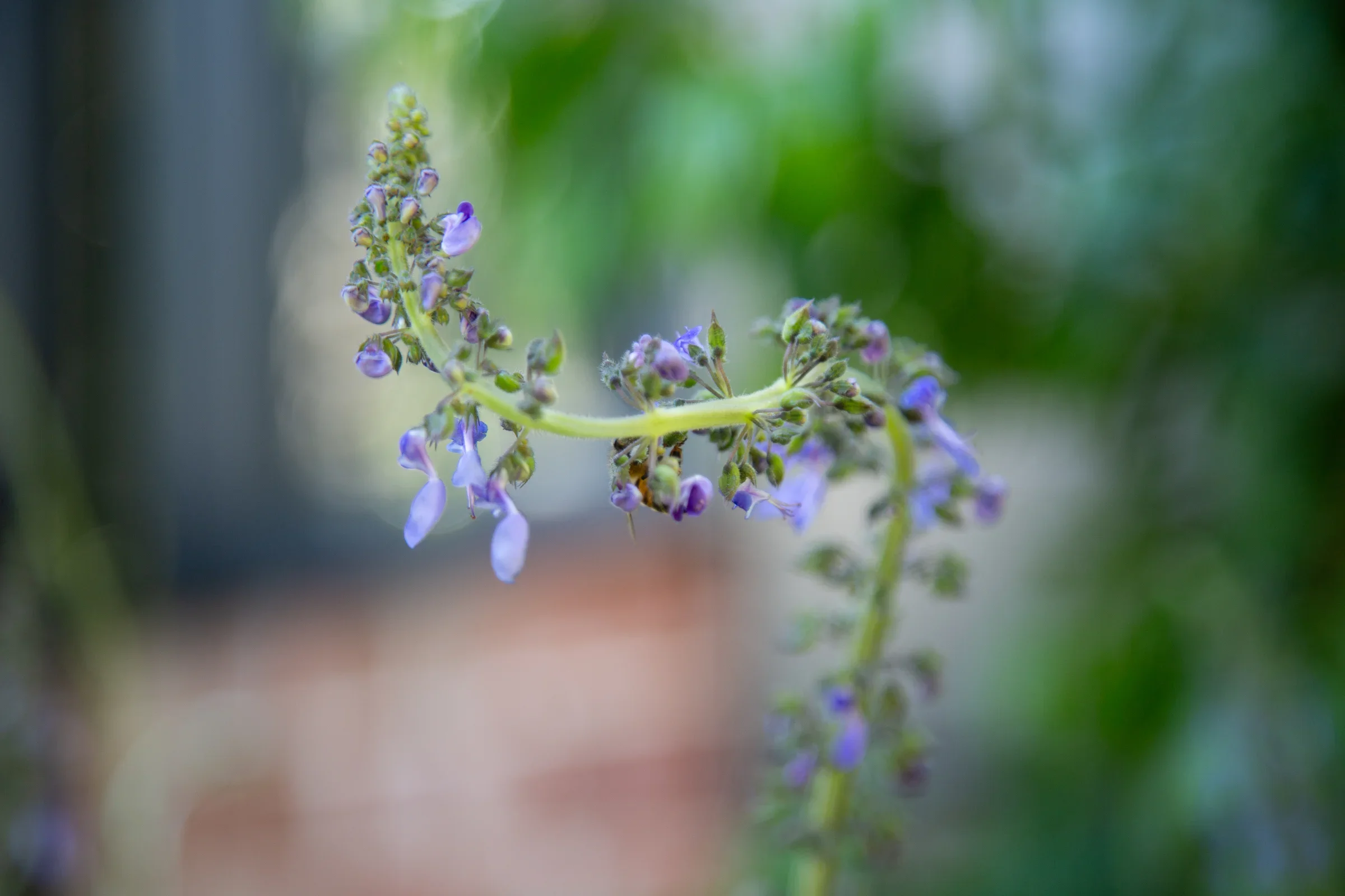 MIFGS_2026_Boutique Garden-39.webp