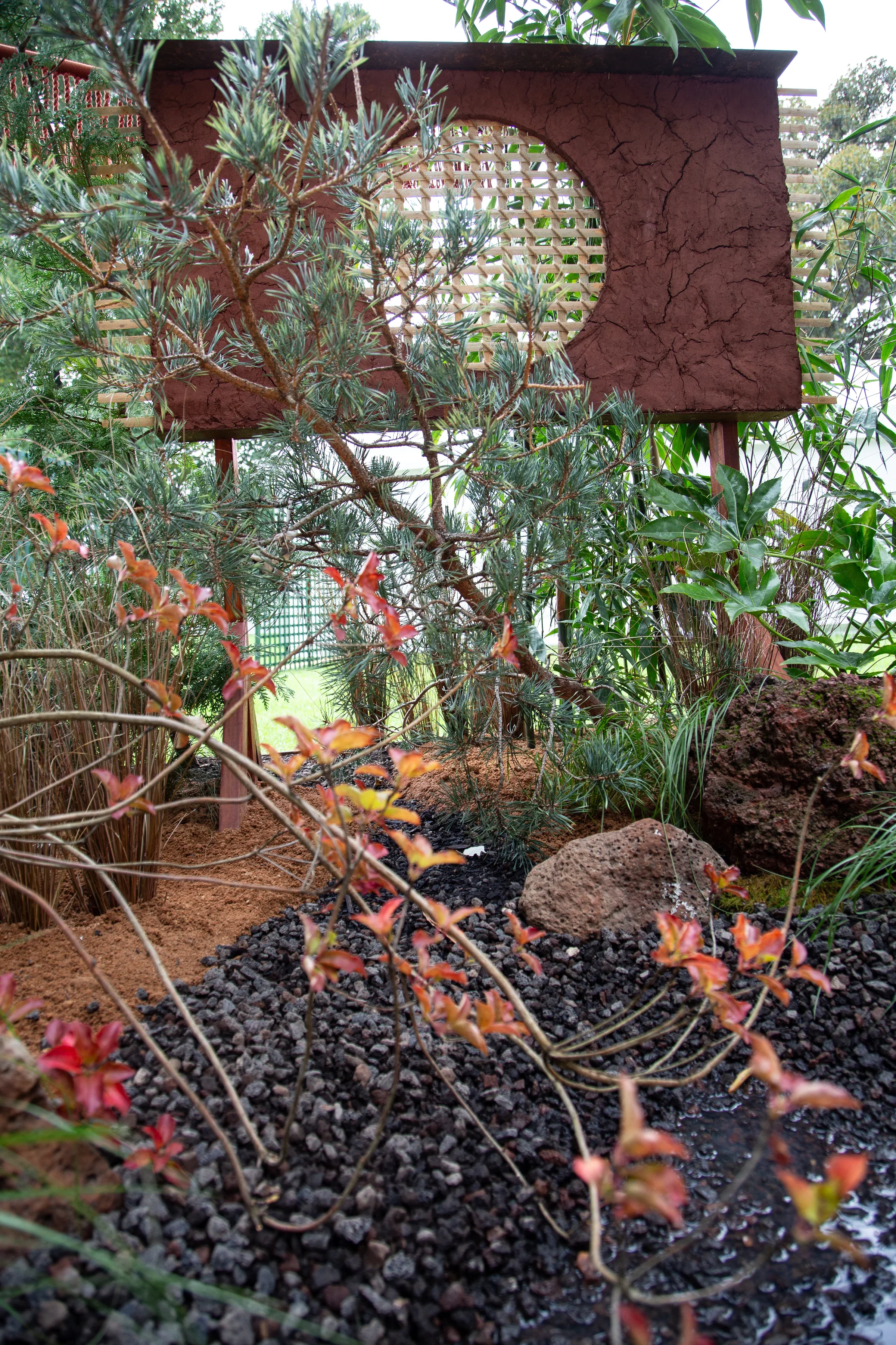 MIFGS_2026_Border Gardens-496.webp