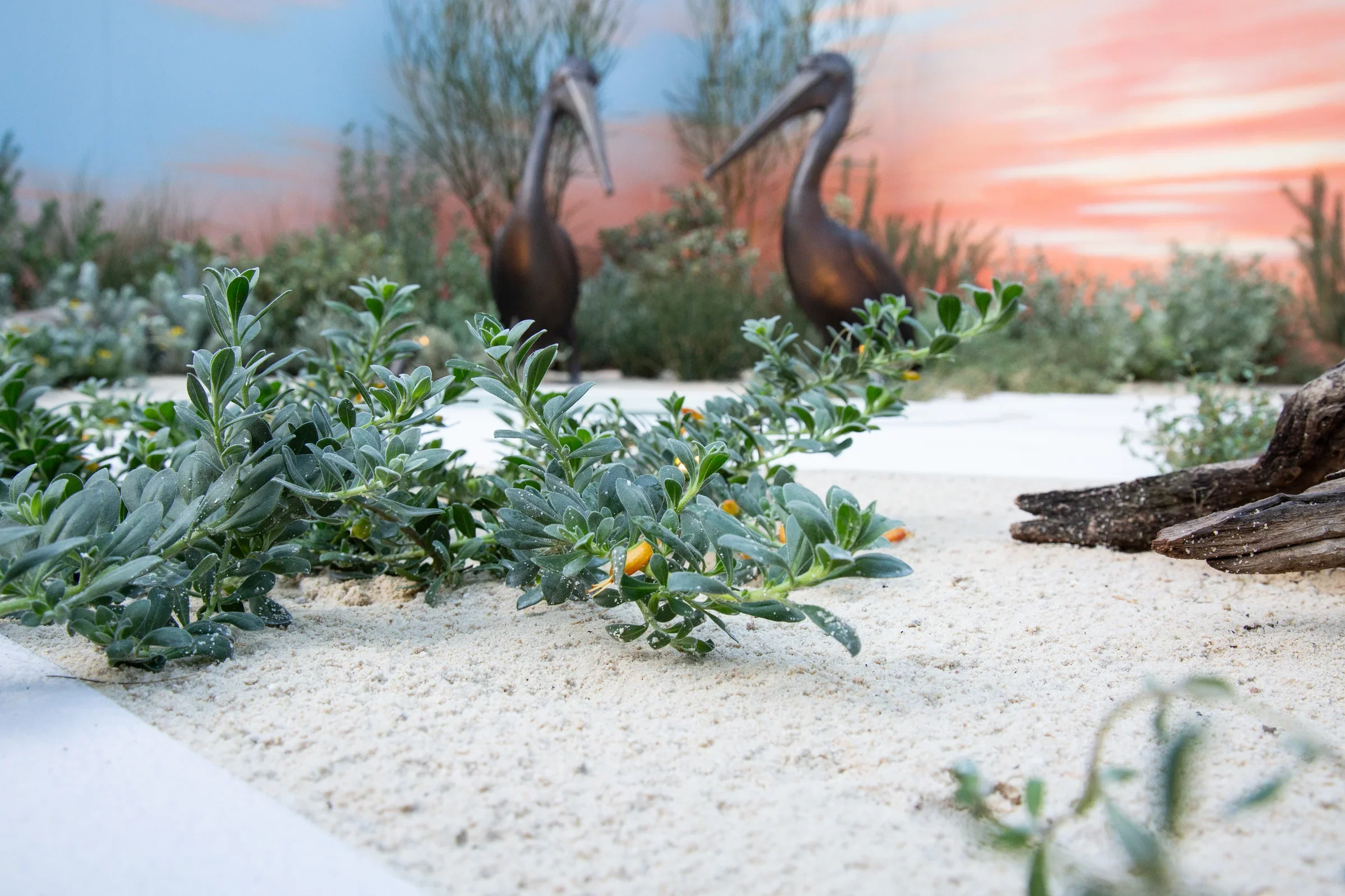 MIFGS_2026_Sunset Over Salt Lake-22.webp