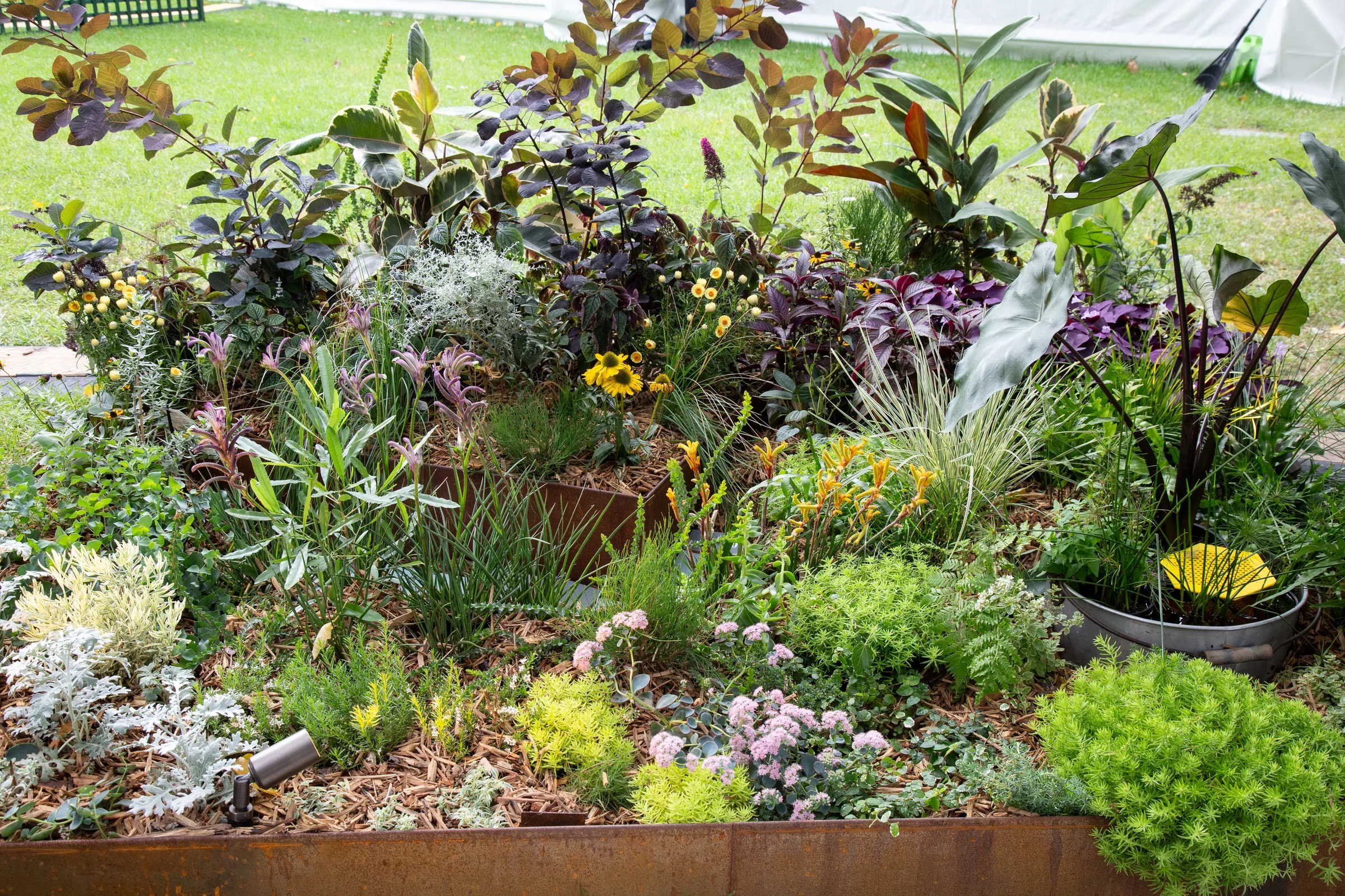 Patterns in a Small Space by Naomi Wang