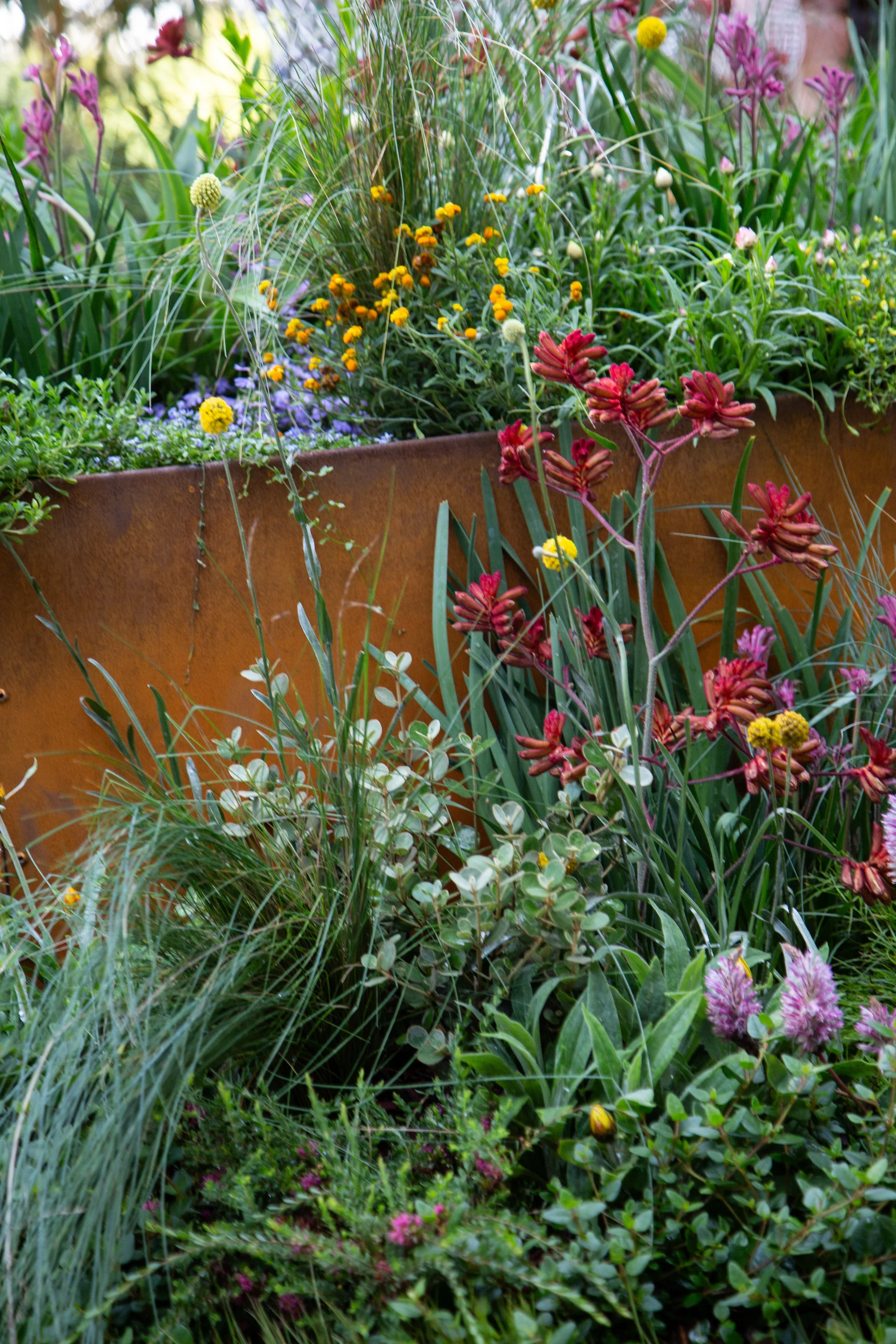 MIFGS_2026_Boutique Garden-86.webp