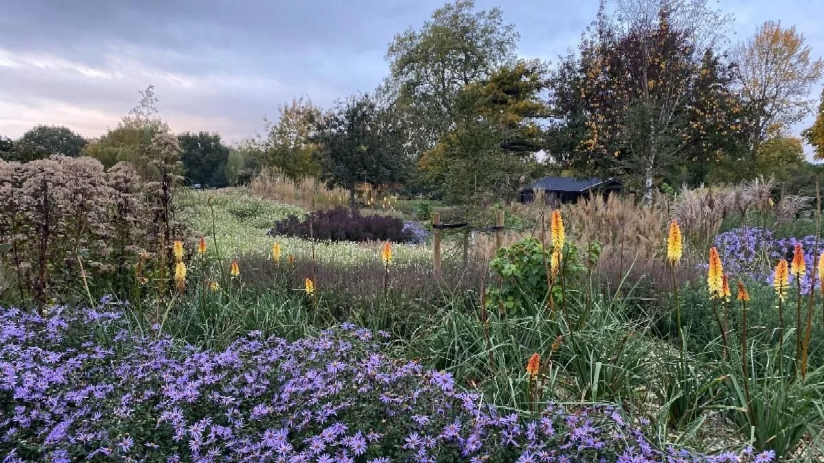 Fisher Tomlin Boyle.jpeg