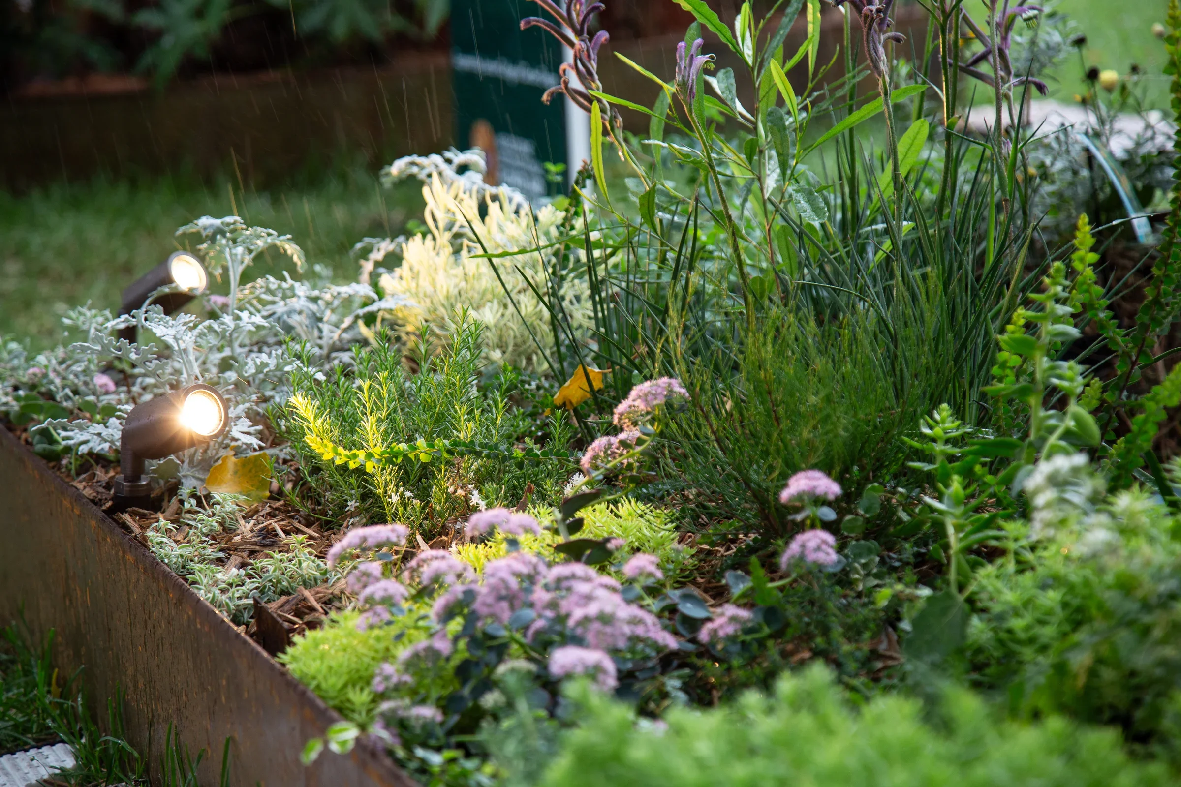 MIFGS_2026_Border Gardens-525.webp