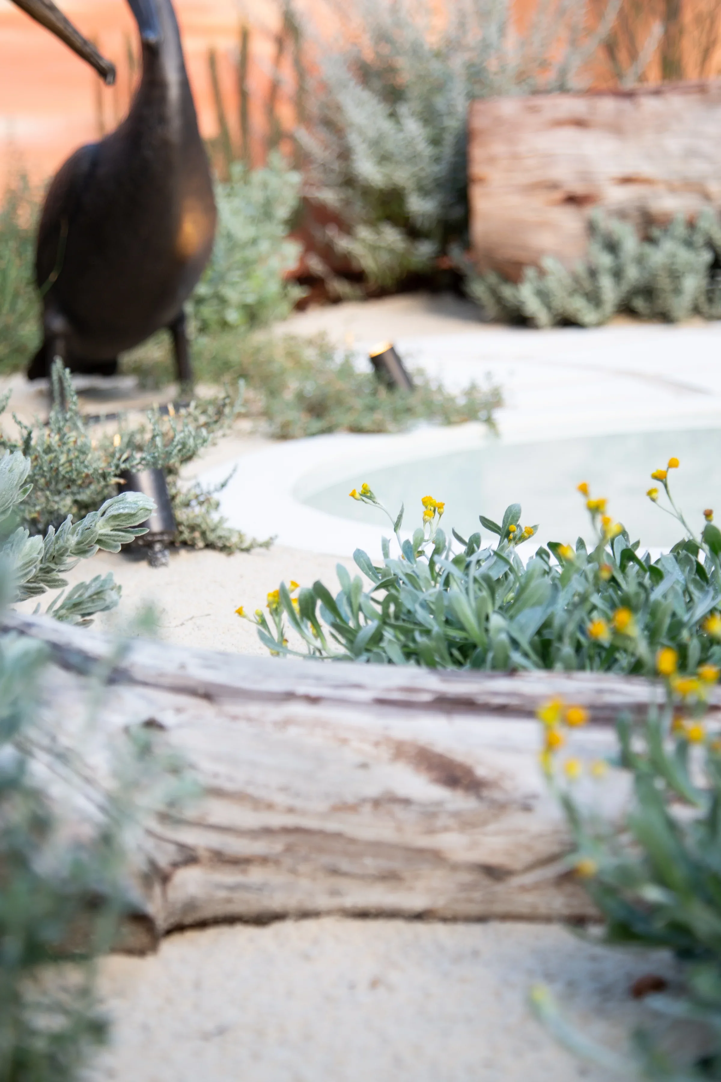 MIFGS_2026_Sunset Over Salt Lake-73.webp