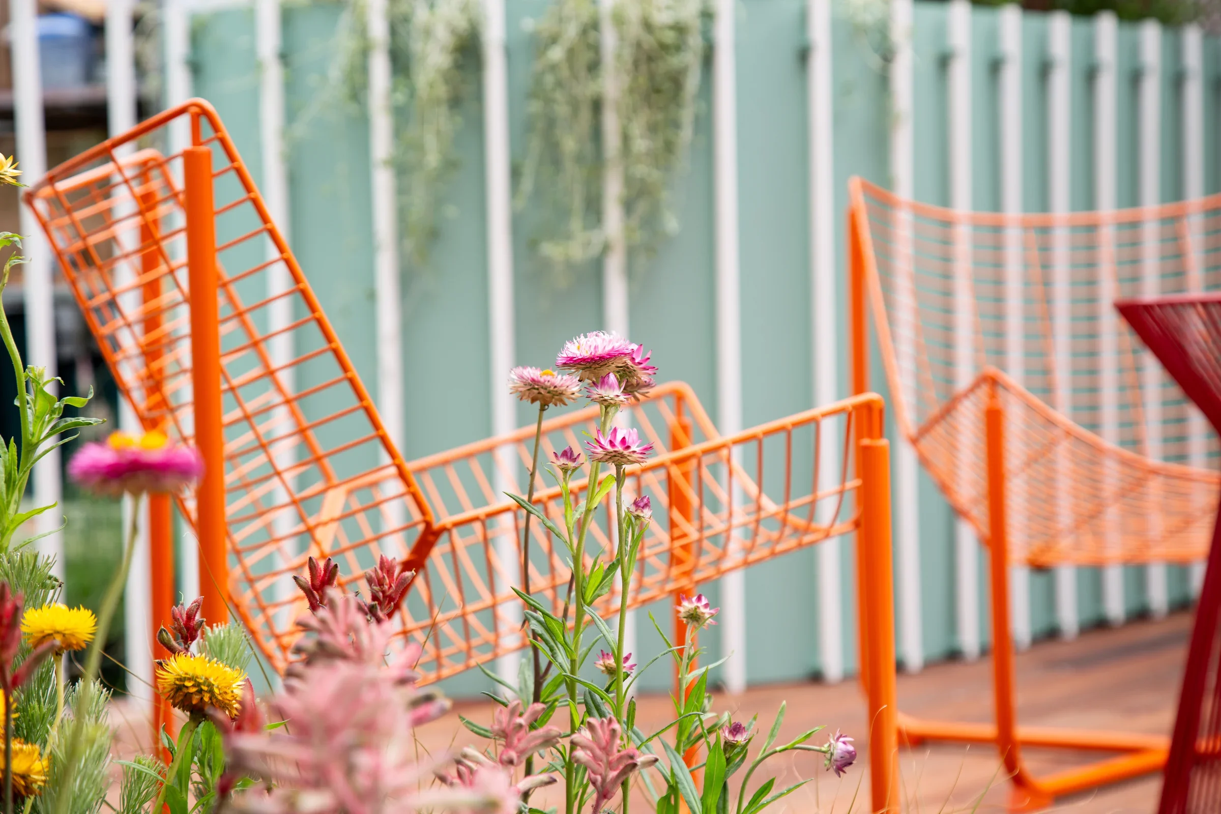 MIFGS_2026_Oasis in the Sky-72.webp