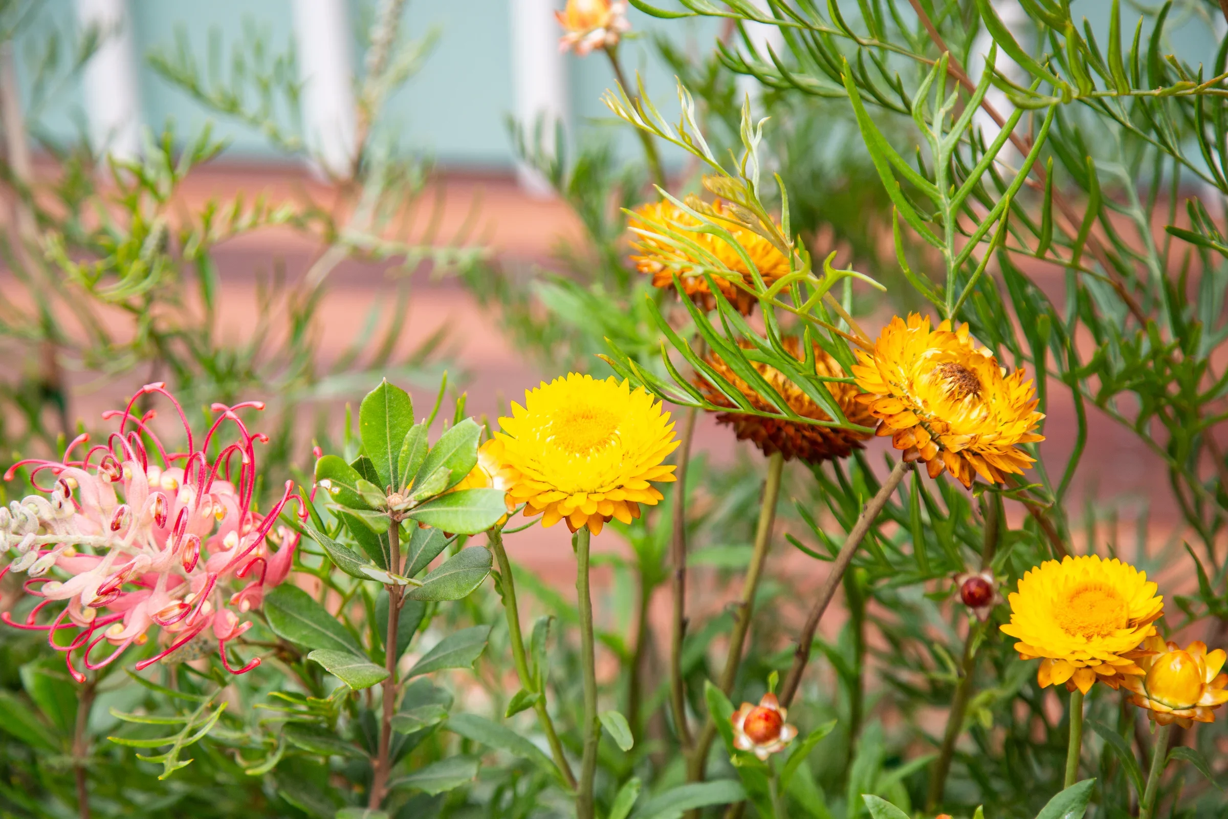 What Skills Make a Great Garden Designer?