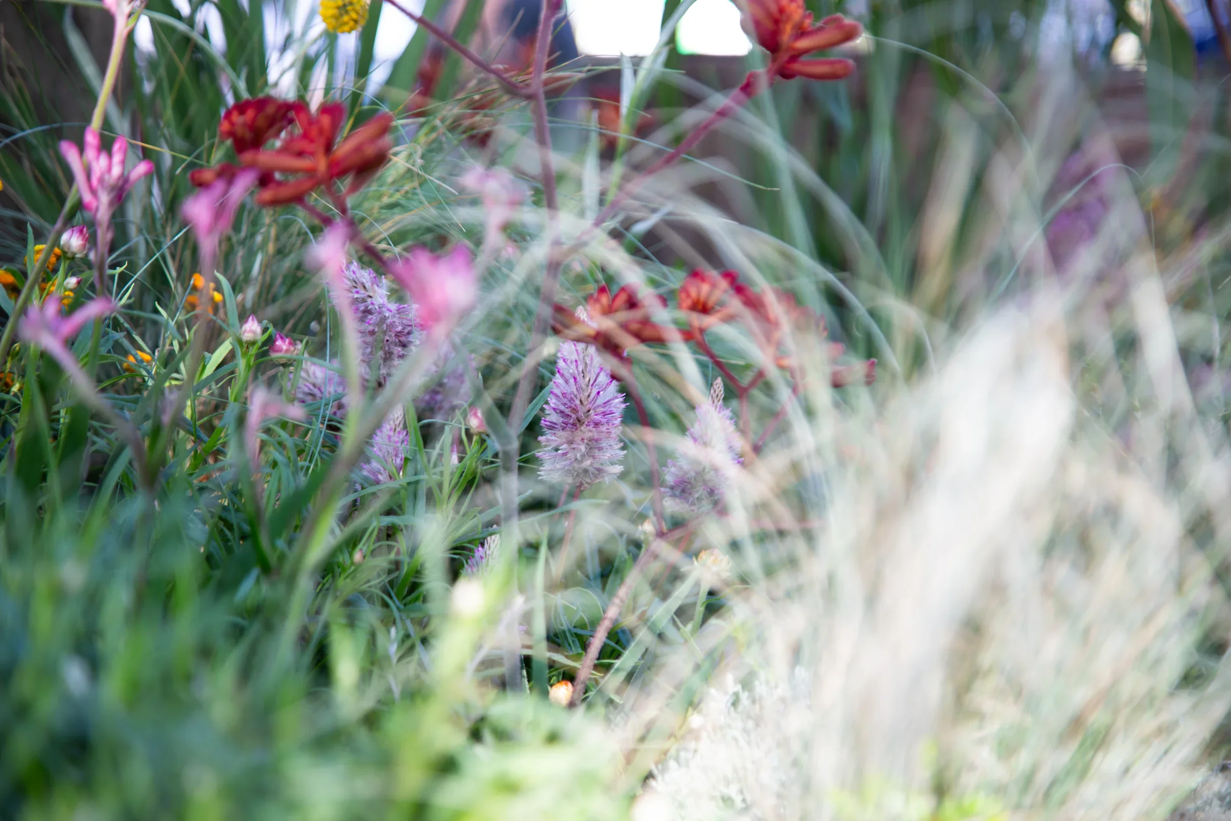 MIFGS_2026_Boutique Garden-14.webp