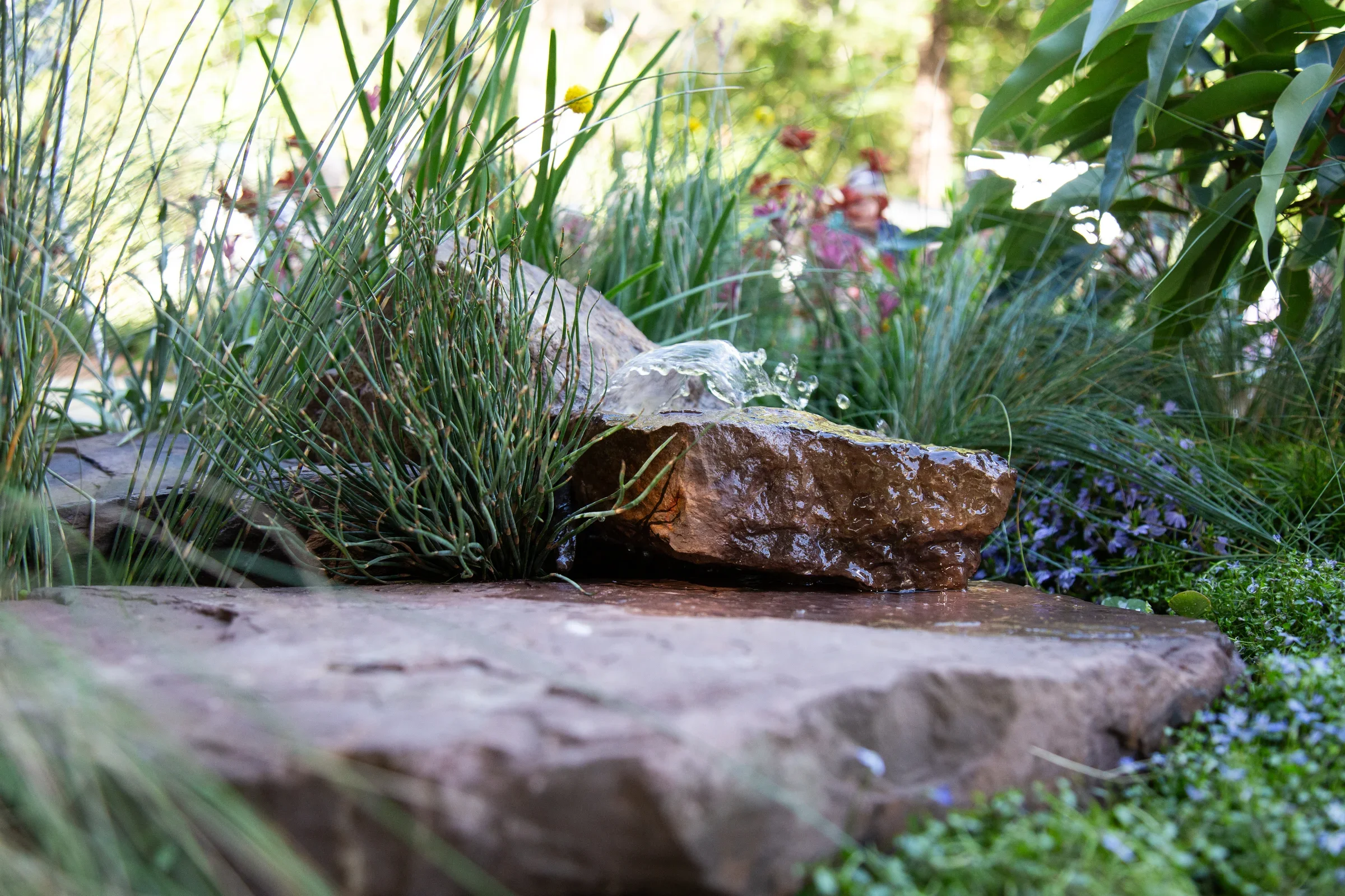 MIFGS_2026_Boutique Garden-68.webp