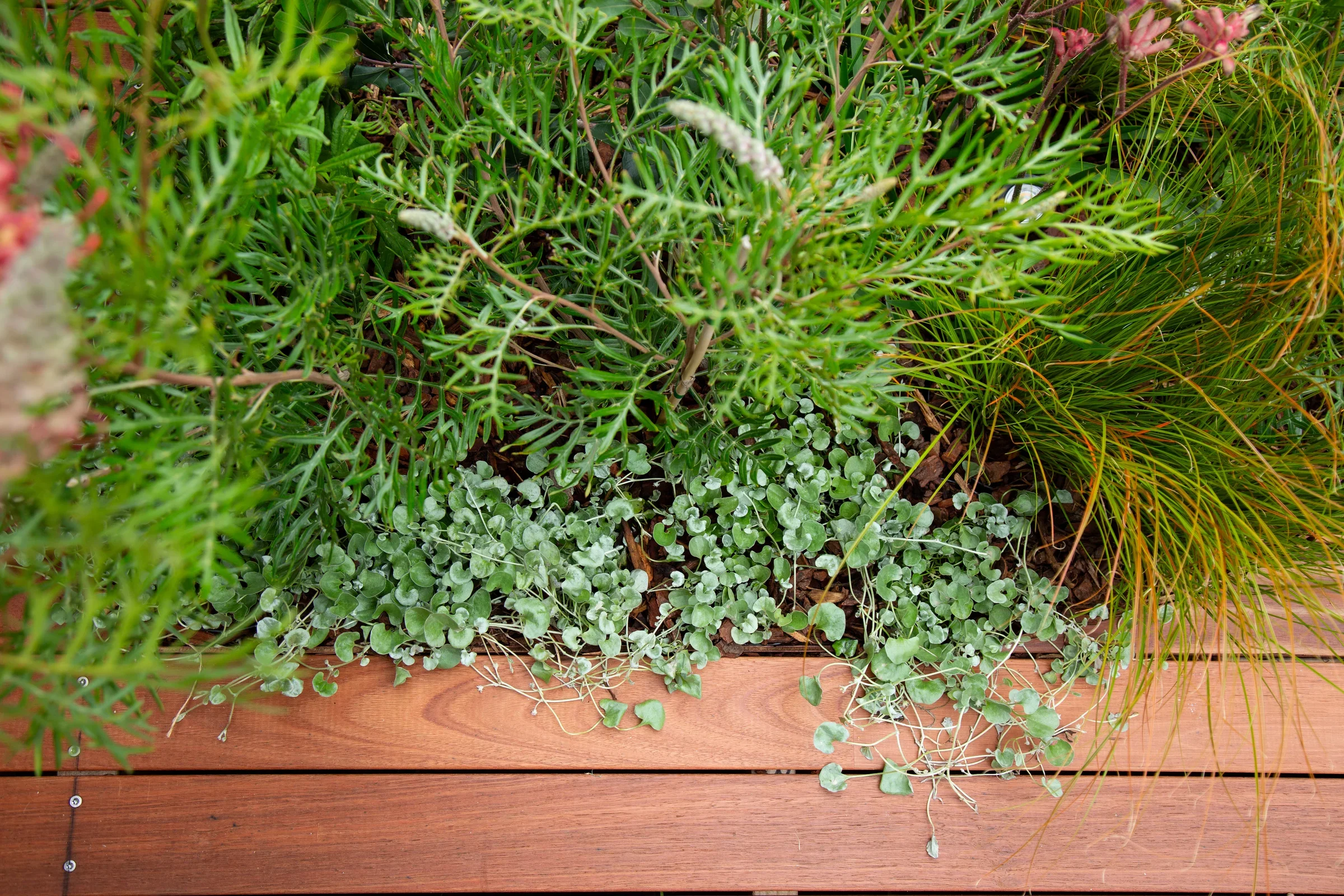 MIFGS_2026_Oasis in the Sky-41.webp