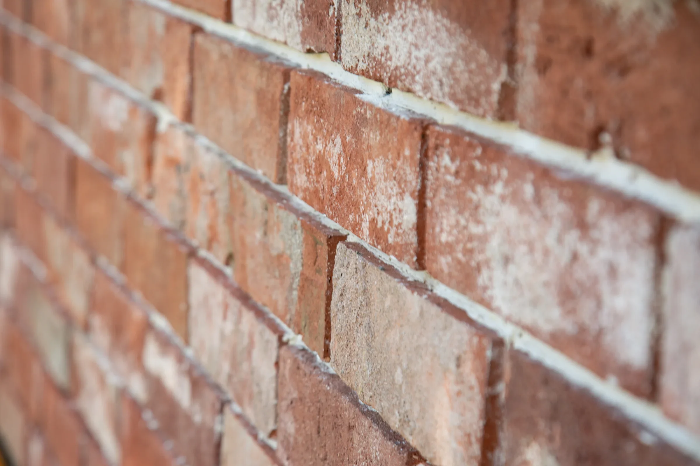 MIFGS_2026_Boutique Garden-62.webp