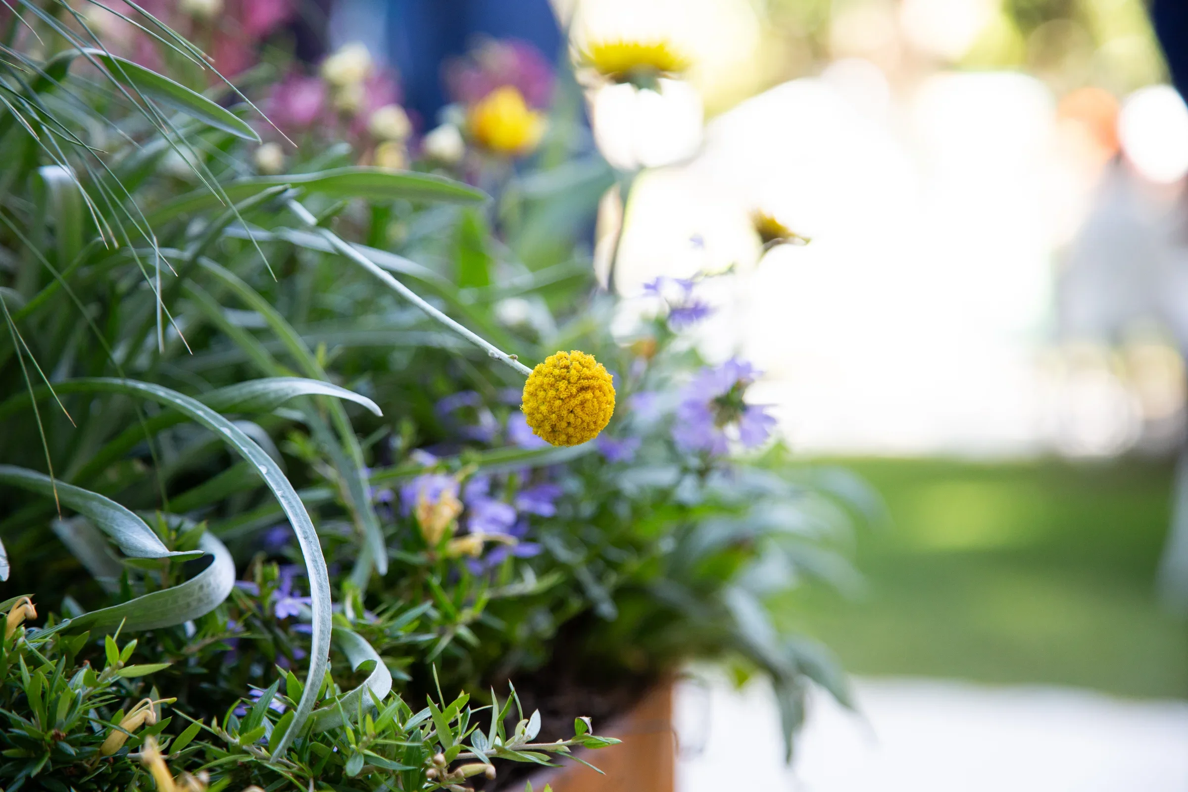 MIFGS_2026_Boutique Garden-66.webp