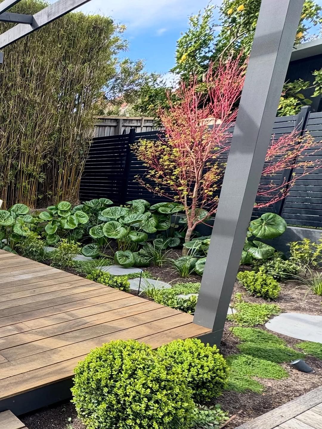 Calibre Gardens 3.jpeg