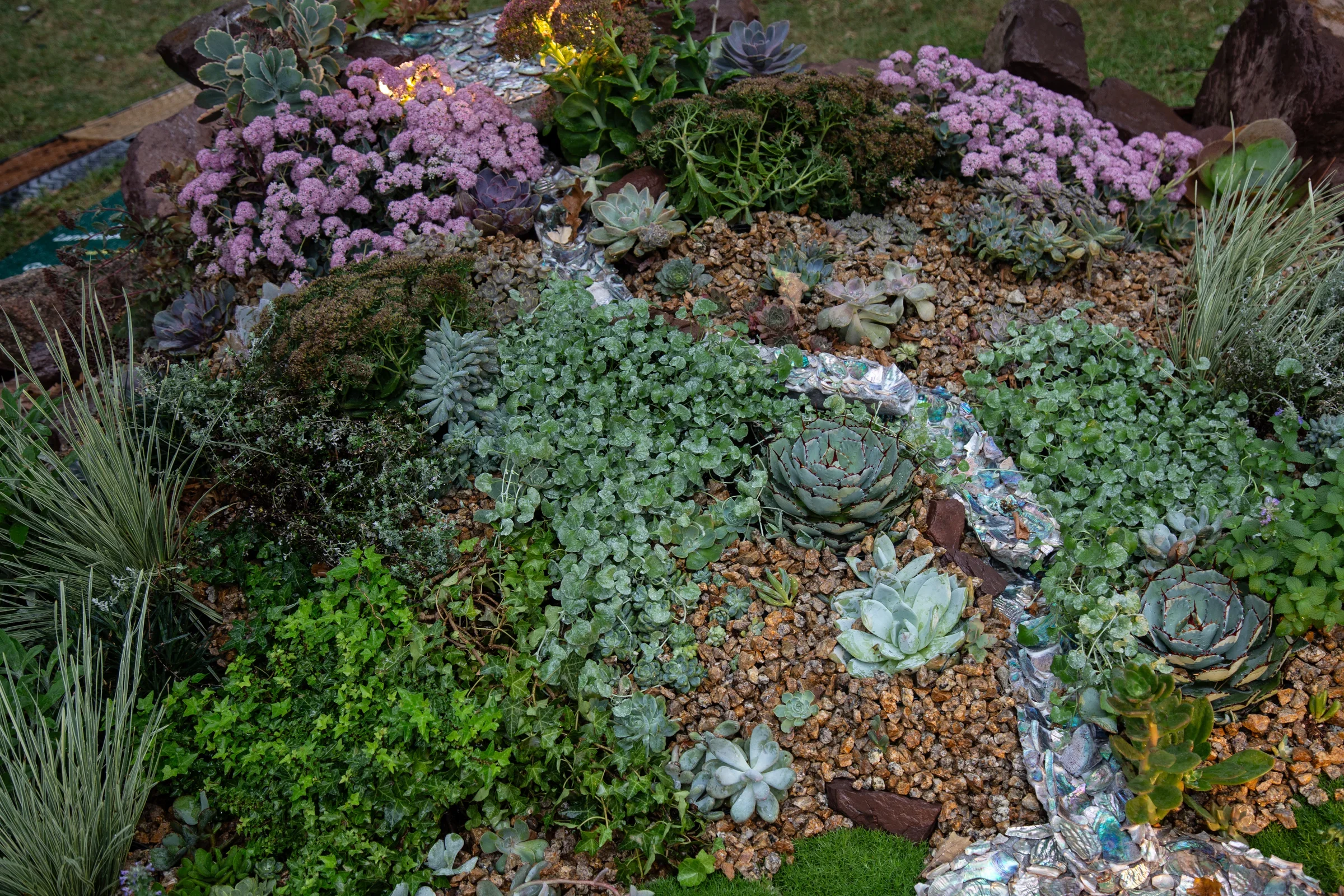 Land Before Time by Tessa Allely, Tessa Rose Garden Design