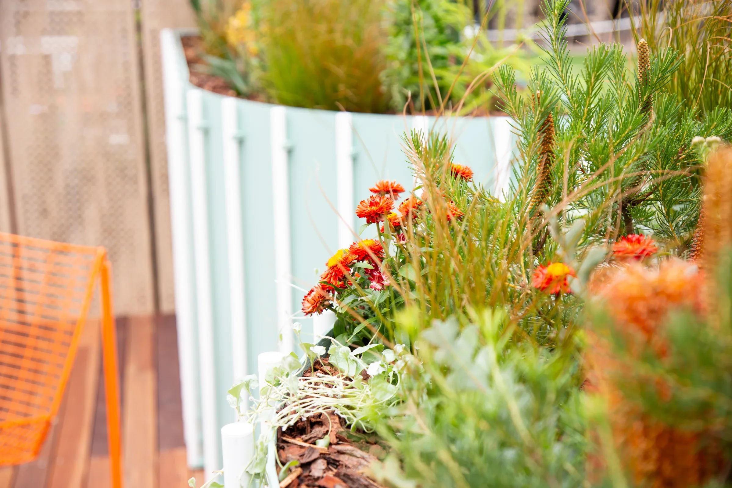 MIFGS_2026_Oasis in the Sky-39.webp