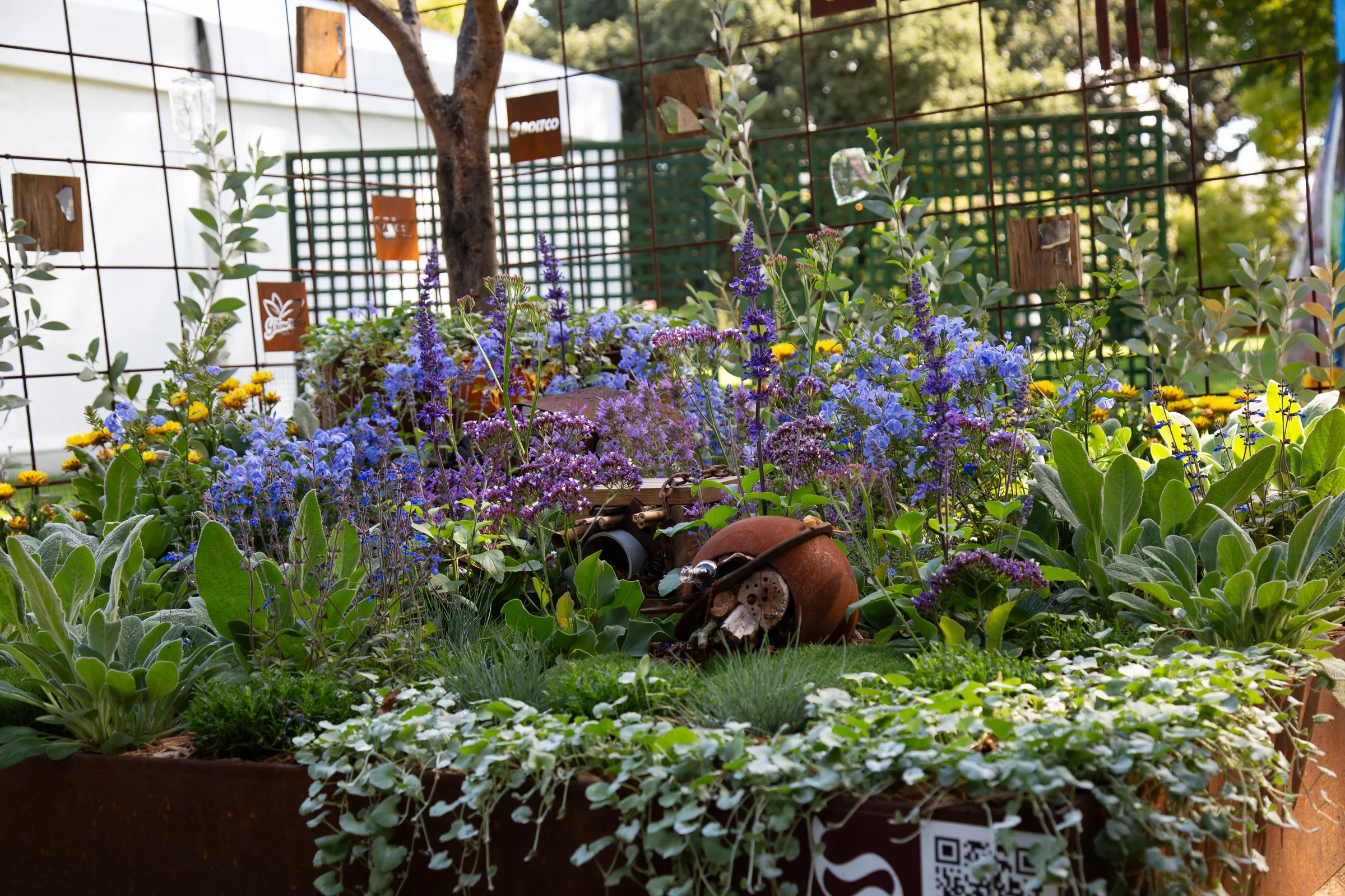 Reclaimed Reflections by Plant Culture Australia