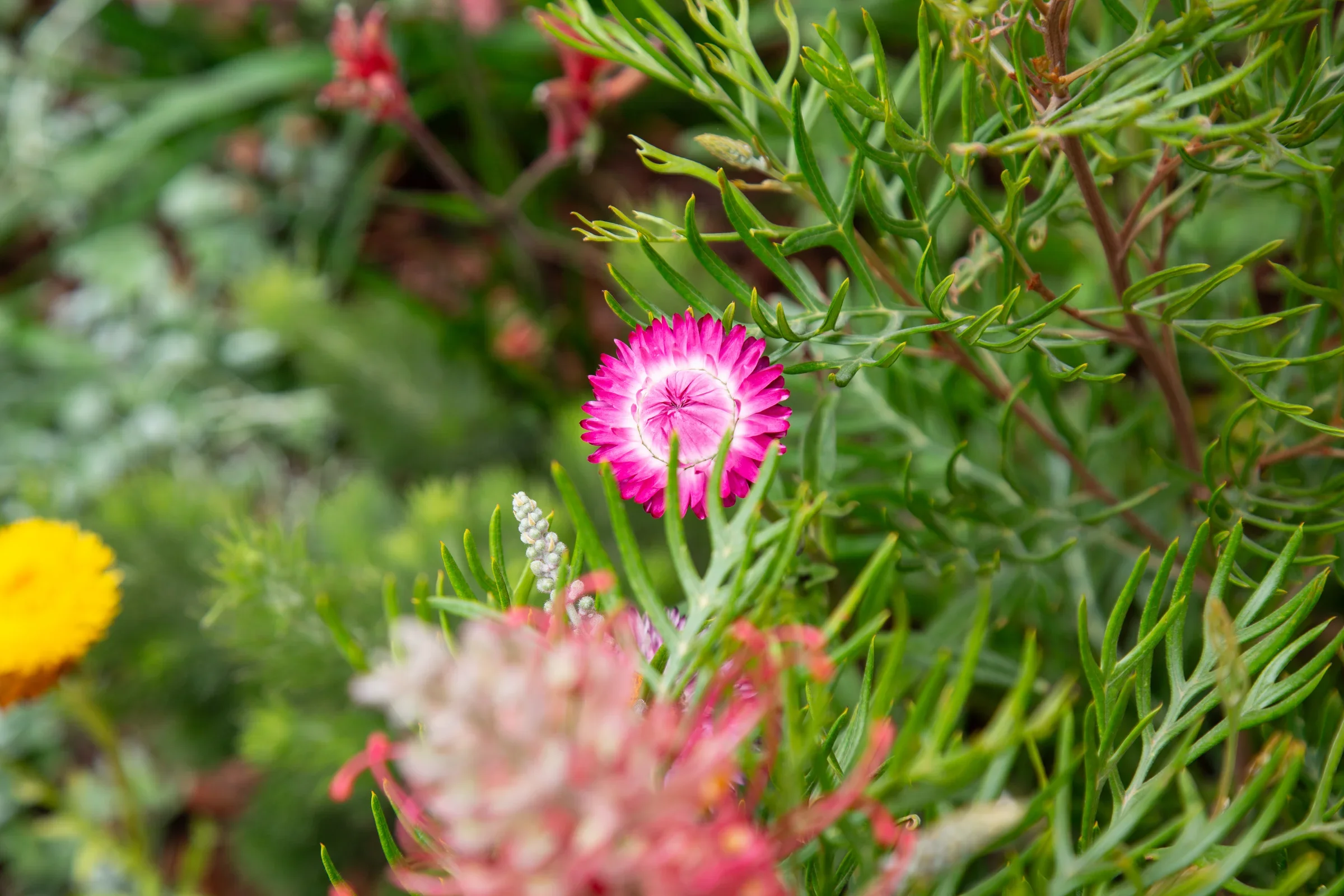 MIFGS_2026_Oasis in the Sky-51.webp