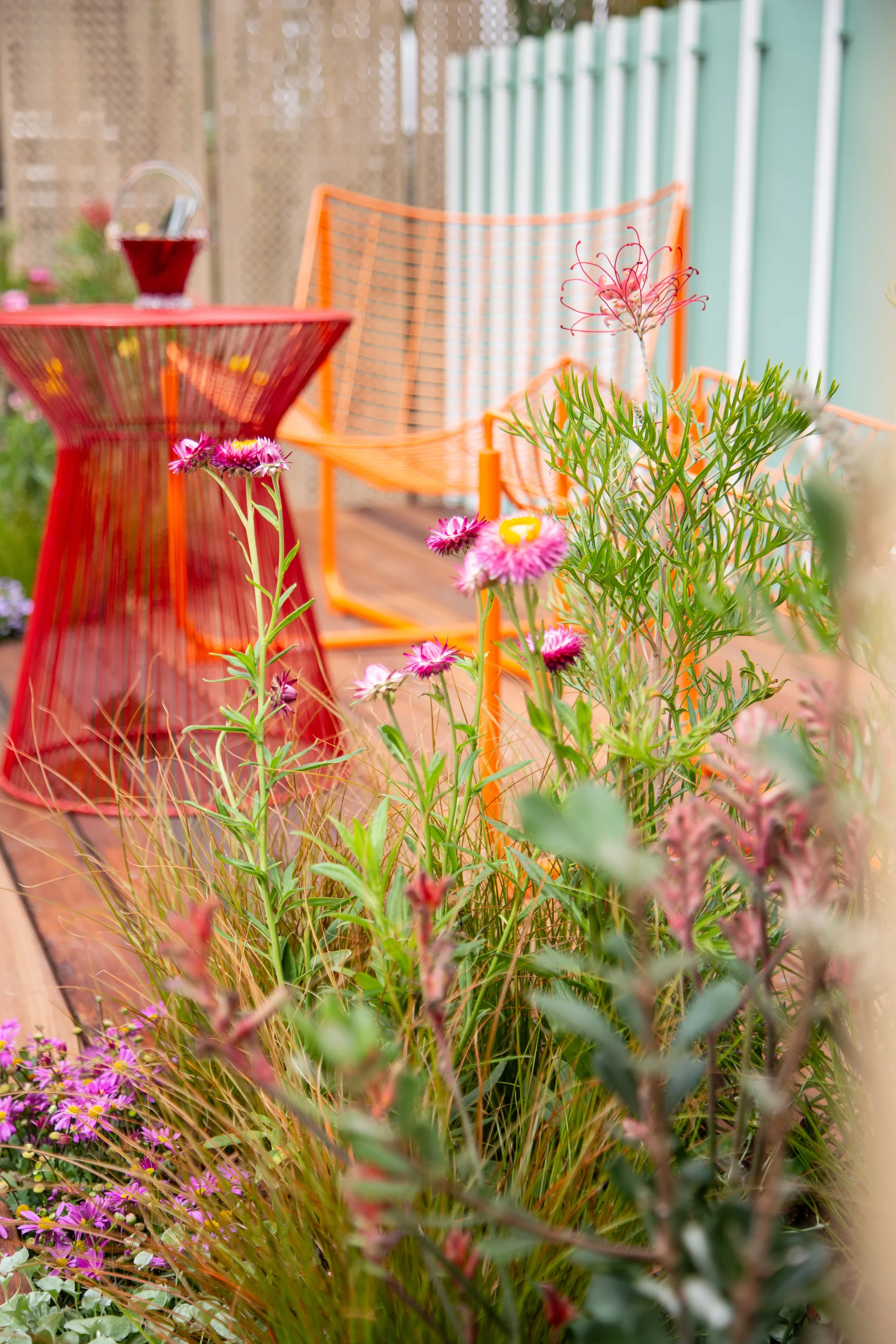 MIFGS_2026_Oasis in the Sky-31.webp