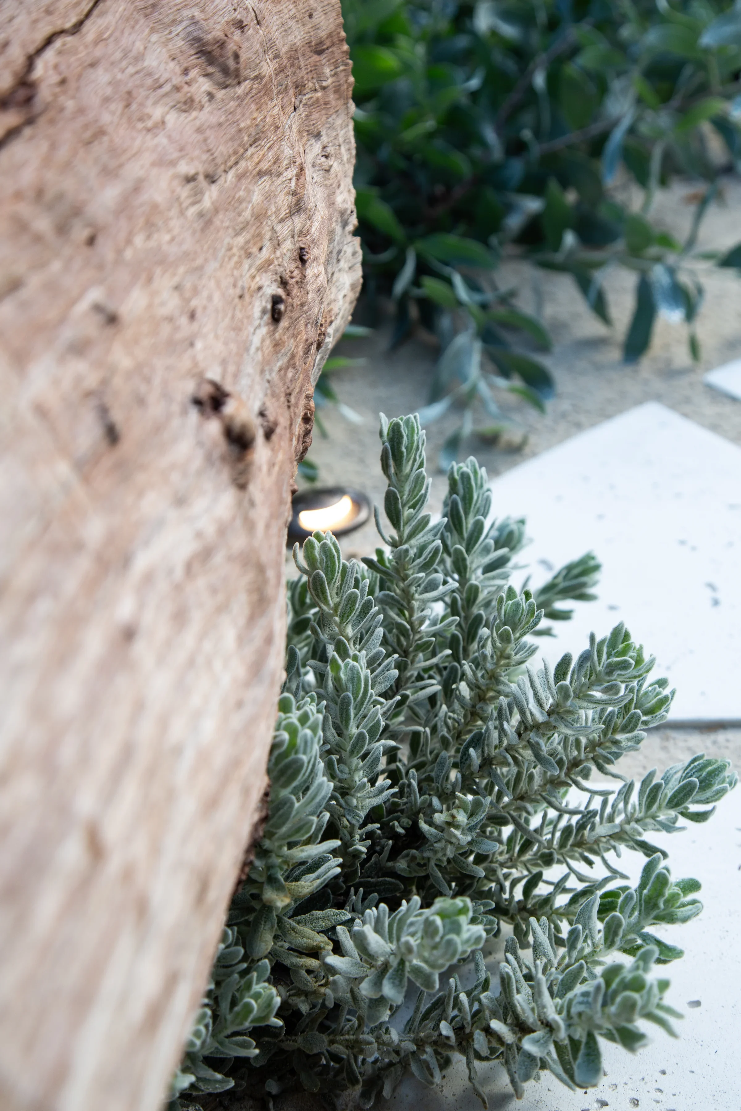 MIFGS_2026_Sunset Over Salt Lake-38.webp