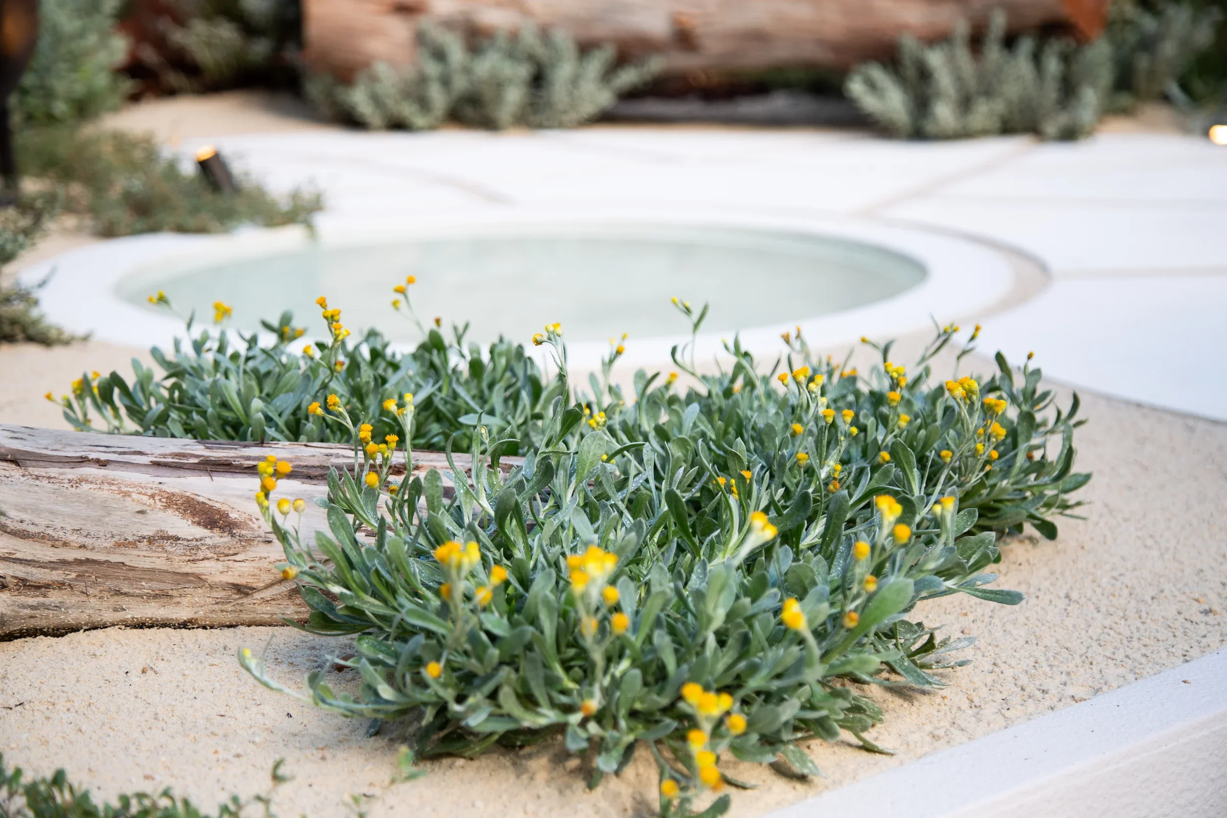 MIFGS_2026_Sunset Over Salt Lake-68.webp