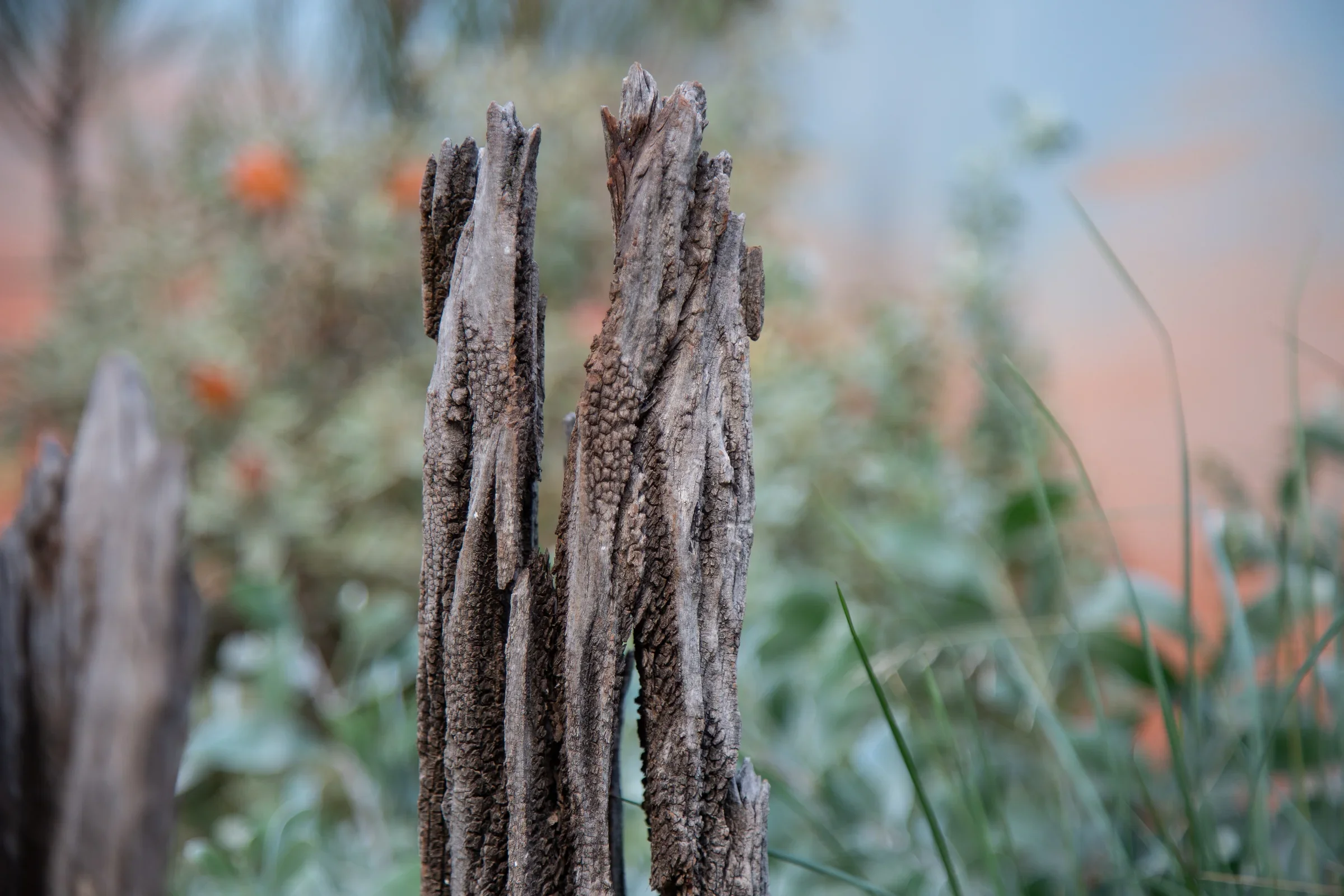 MIFGS_2026_Sunset Over Salt Lake-06.webp