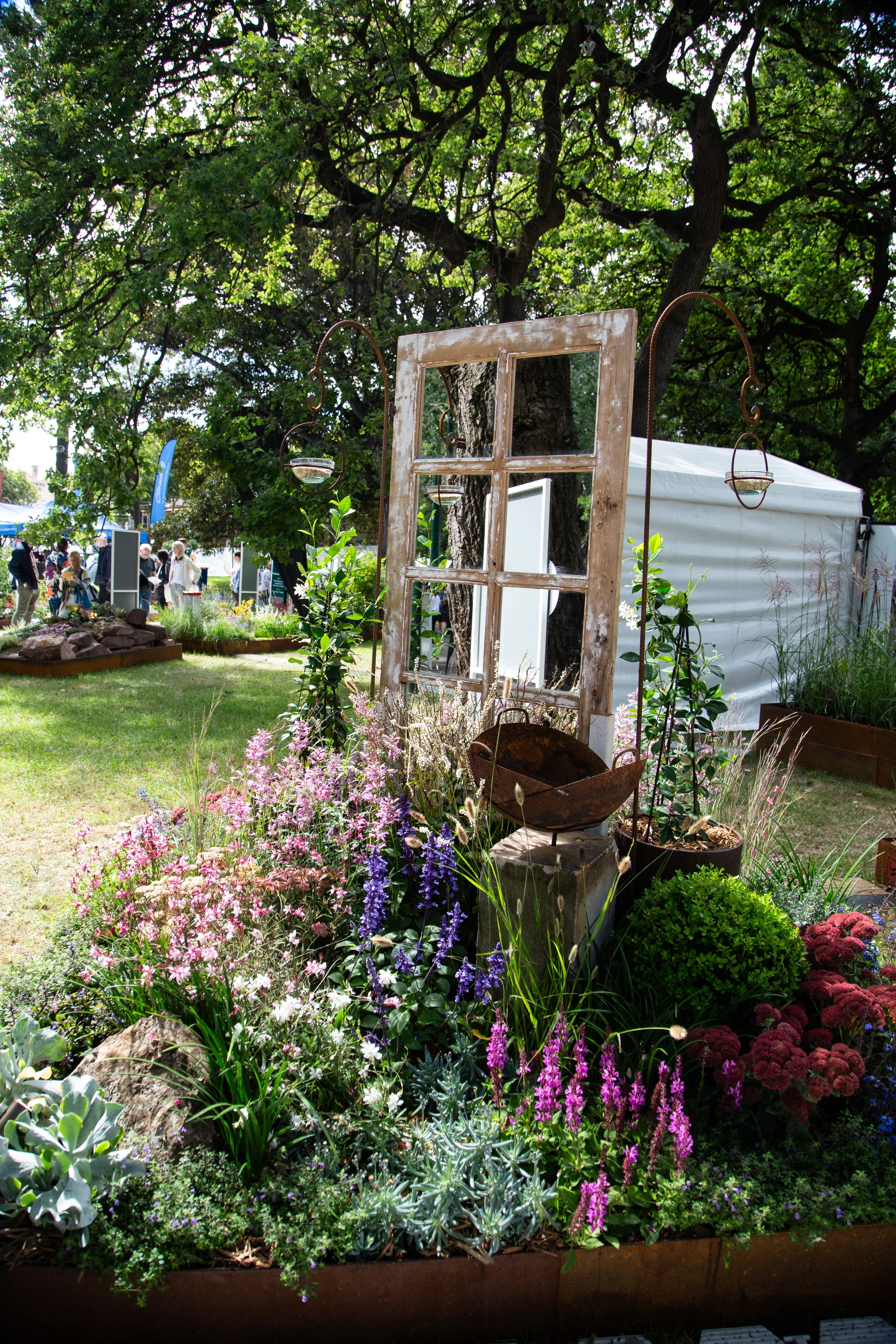 2nd Place — Look Within by Amy Fisher