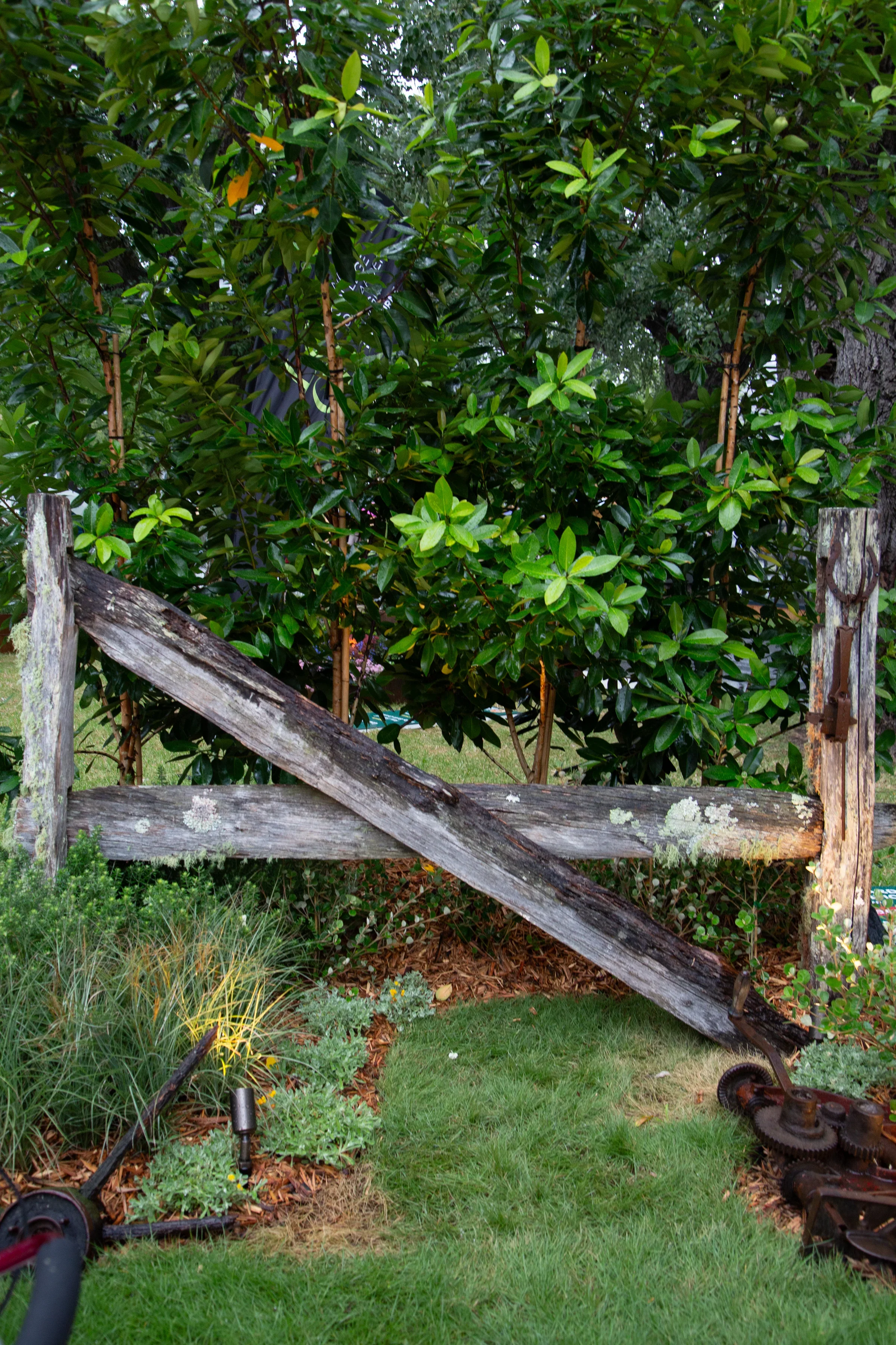 Remnants of a Country Past by Heath Carlile