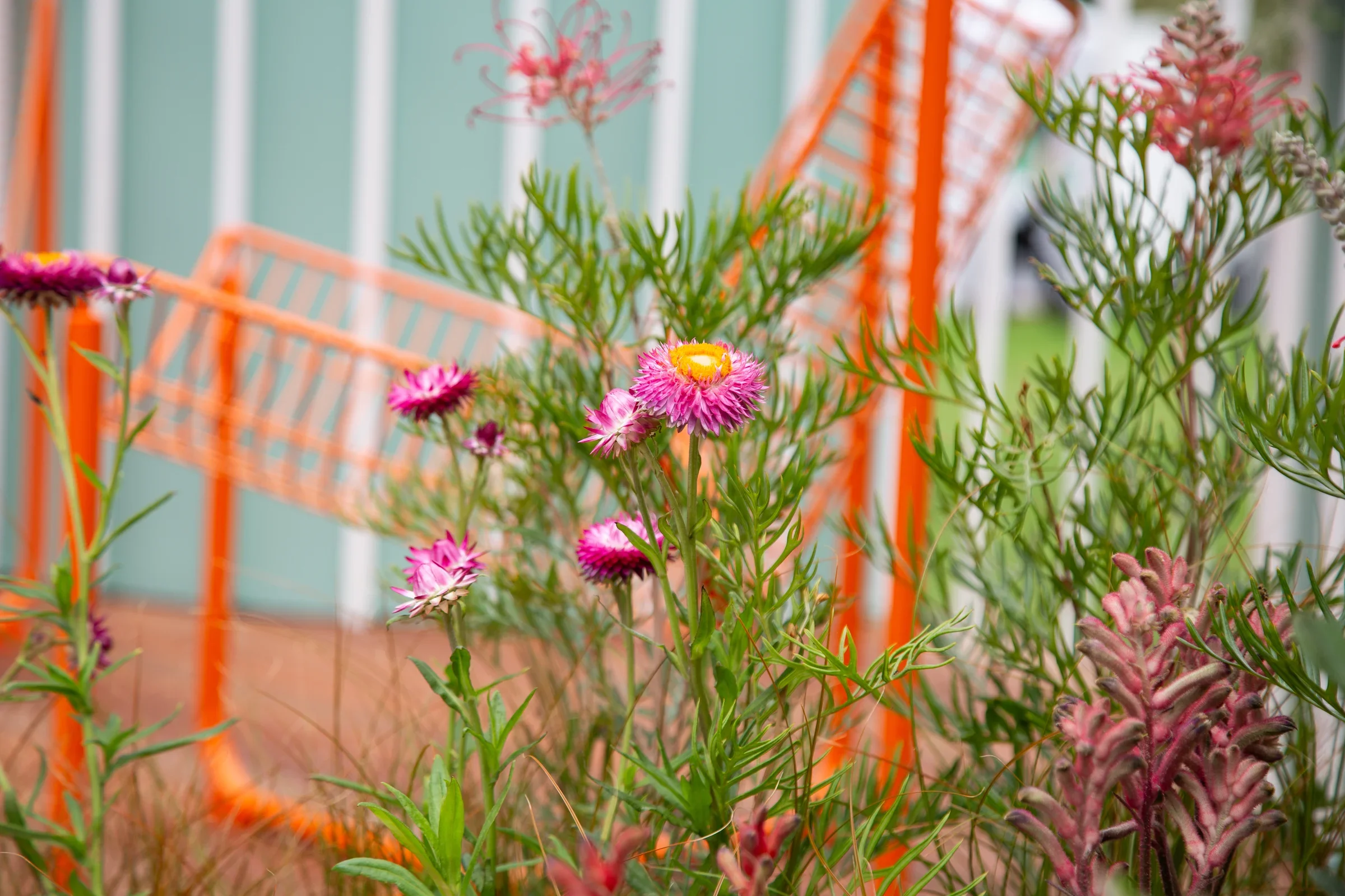 MIFGS_2026_Oasis in the Sky-24.webp