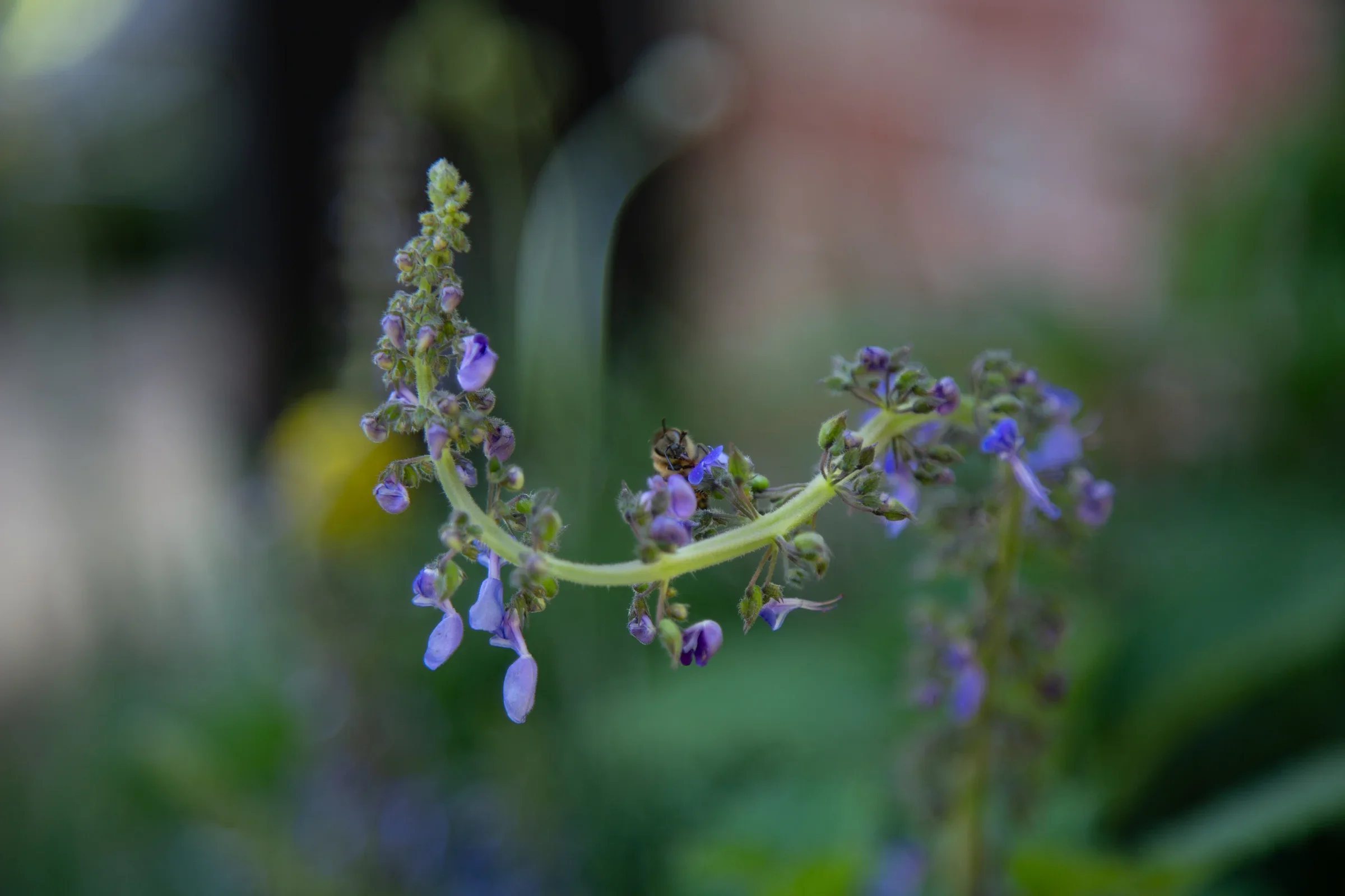 MIFGS_2026_Boutique Garden-41.webp