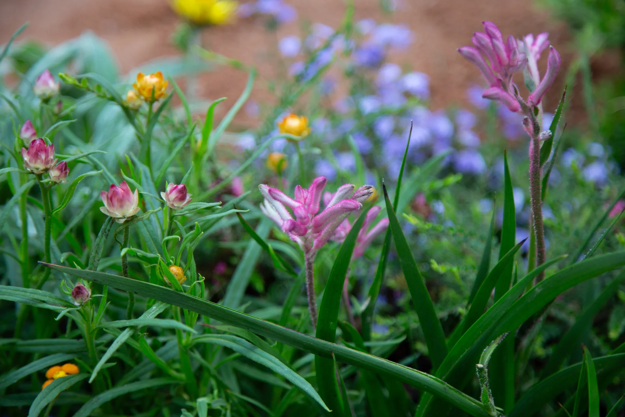 MIFGS_2026_Boutique Garden-44.webp