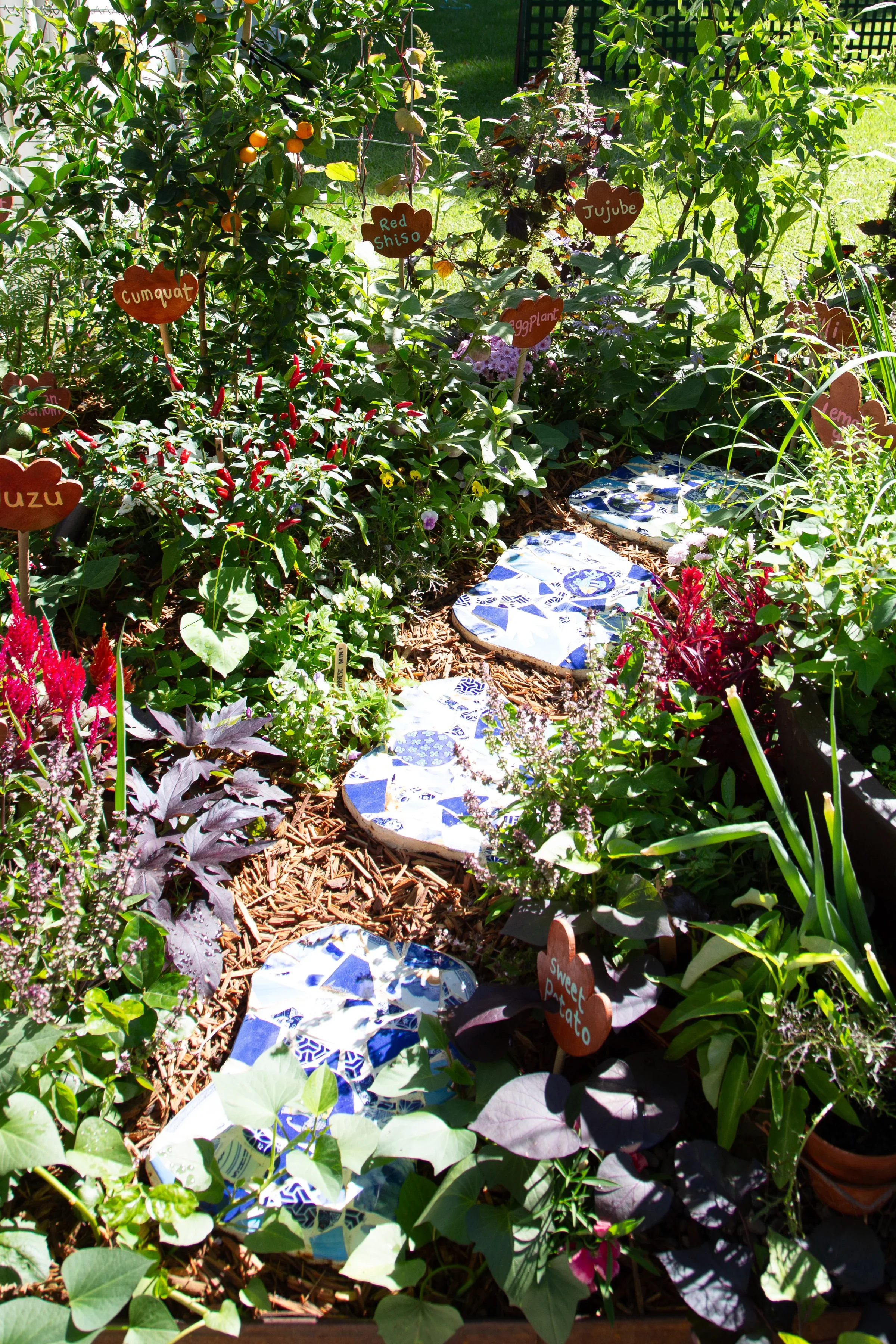 3rd Place — Your Asian Veggie Patch by Connie Cao