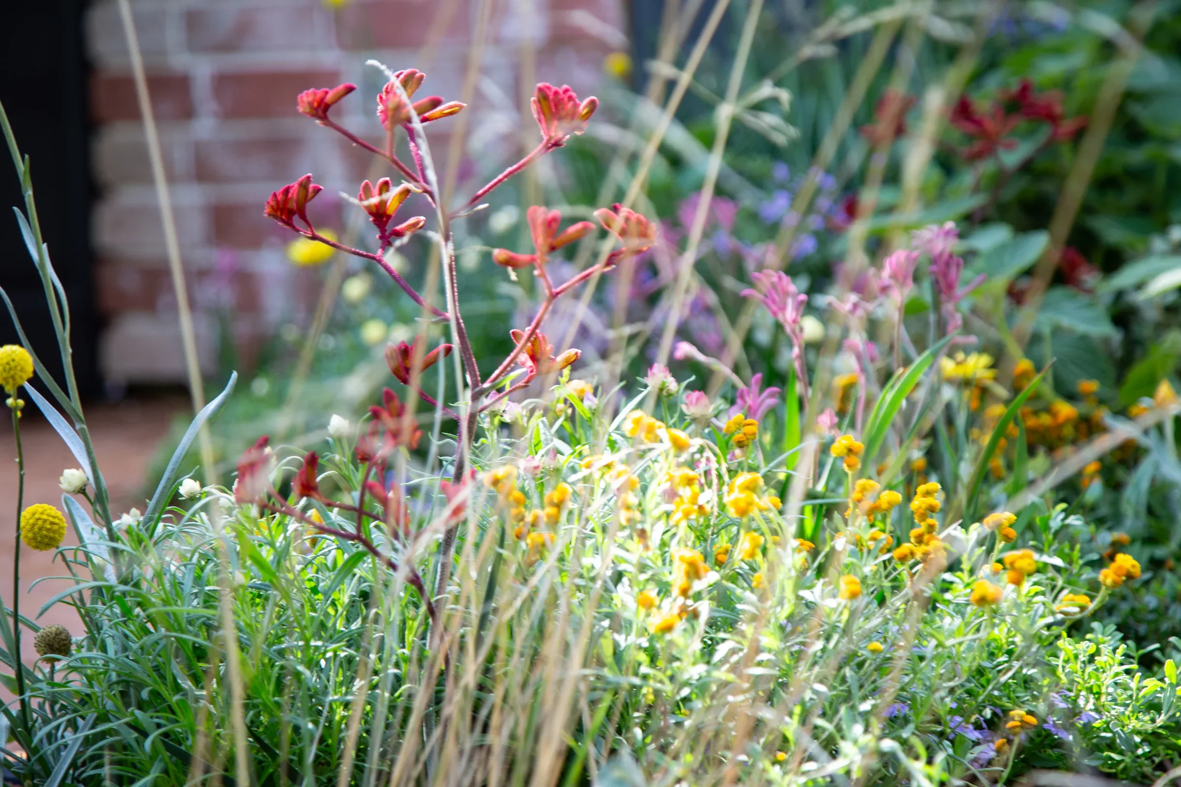 MIFGS_2026_Boutique Garden-88.webp