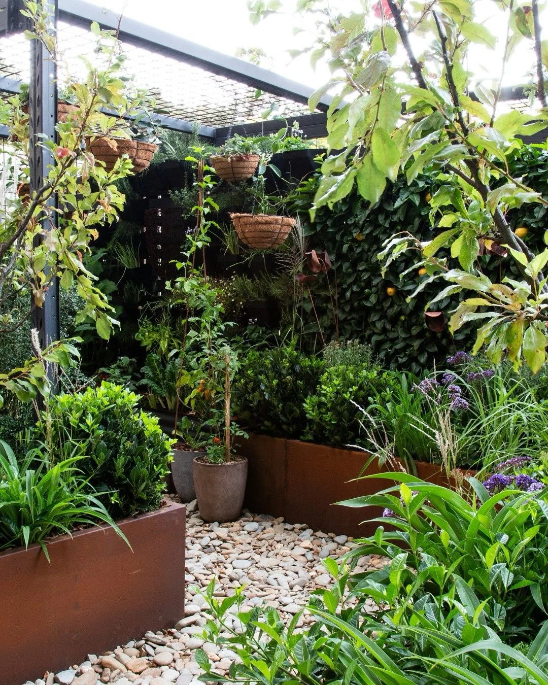 Nature's Pantry by Sarah McLauchlan