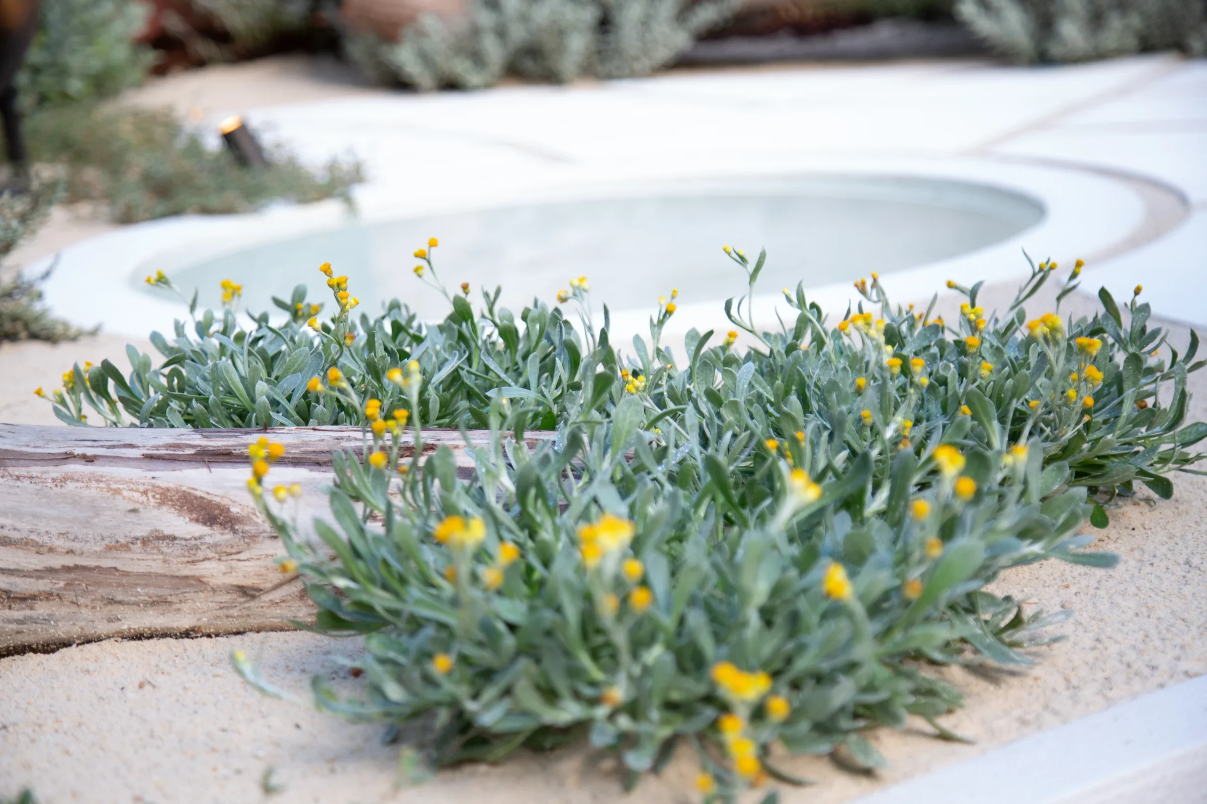 MIFGS_2026_Sunset Over Salt Lake-66.webp