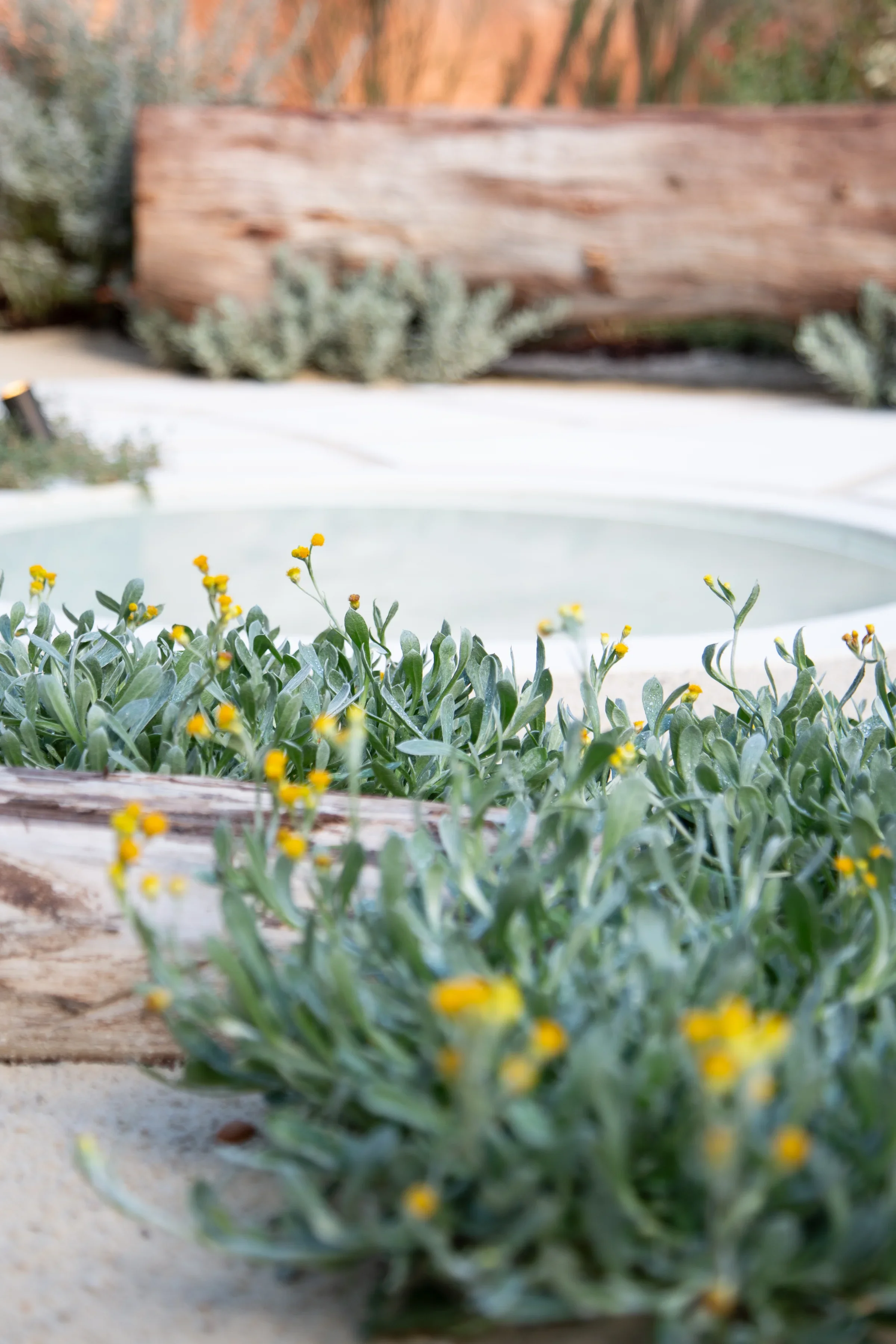 MIFGS_2026_Sunset Over Salt Lake-74.webp