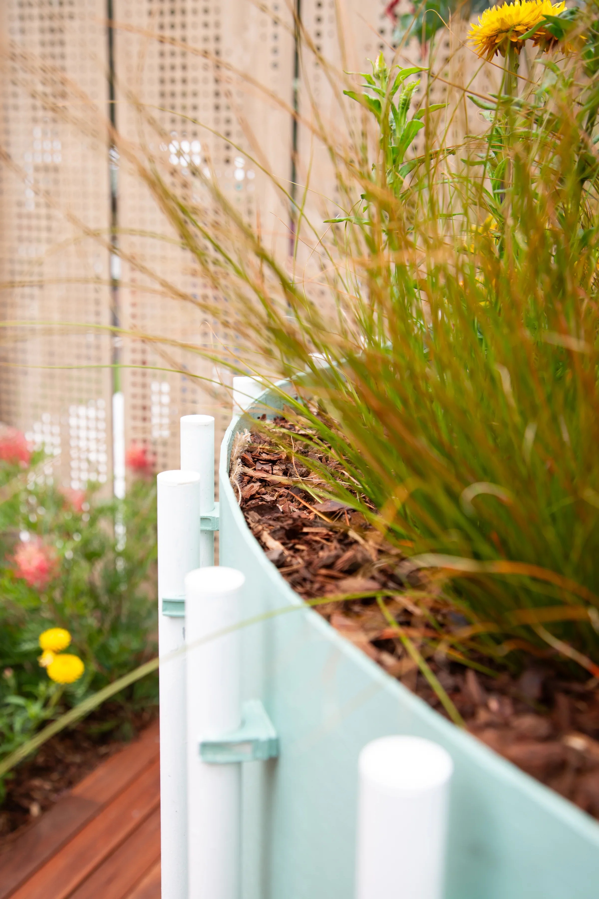 MIFGS_2026_Oasis in the Sky-43.webp