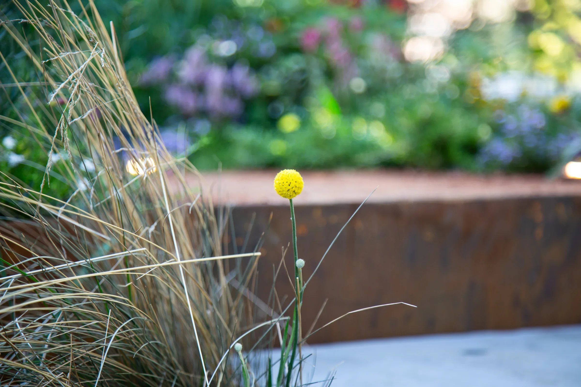 MIFGS_2026_Boutique Garden-03.webp