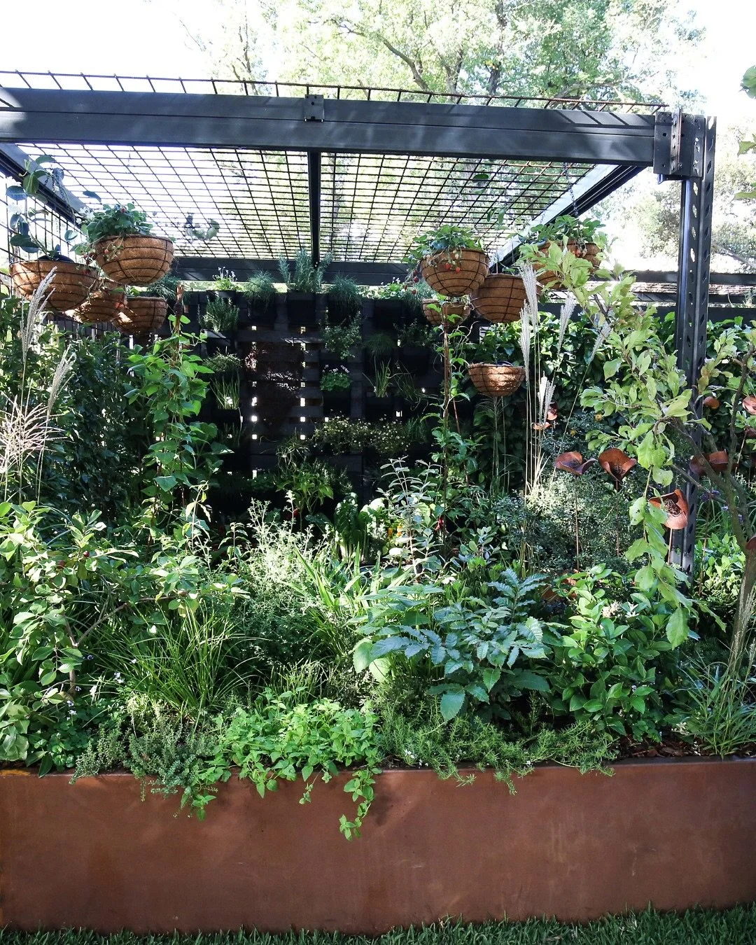 Nature's Pantry by Sarah McLauchlan