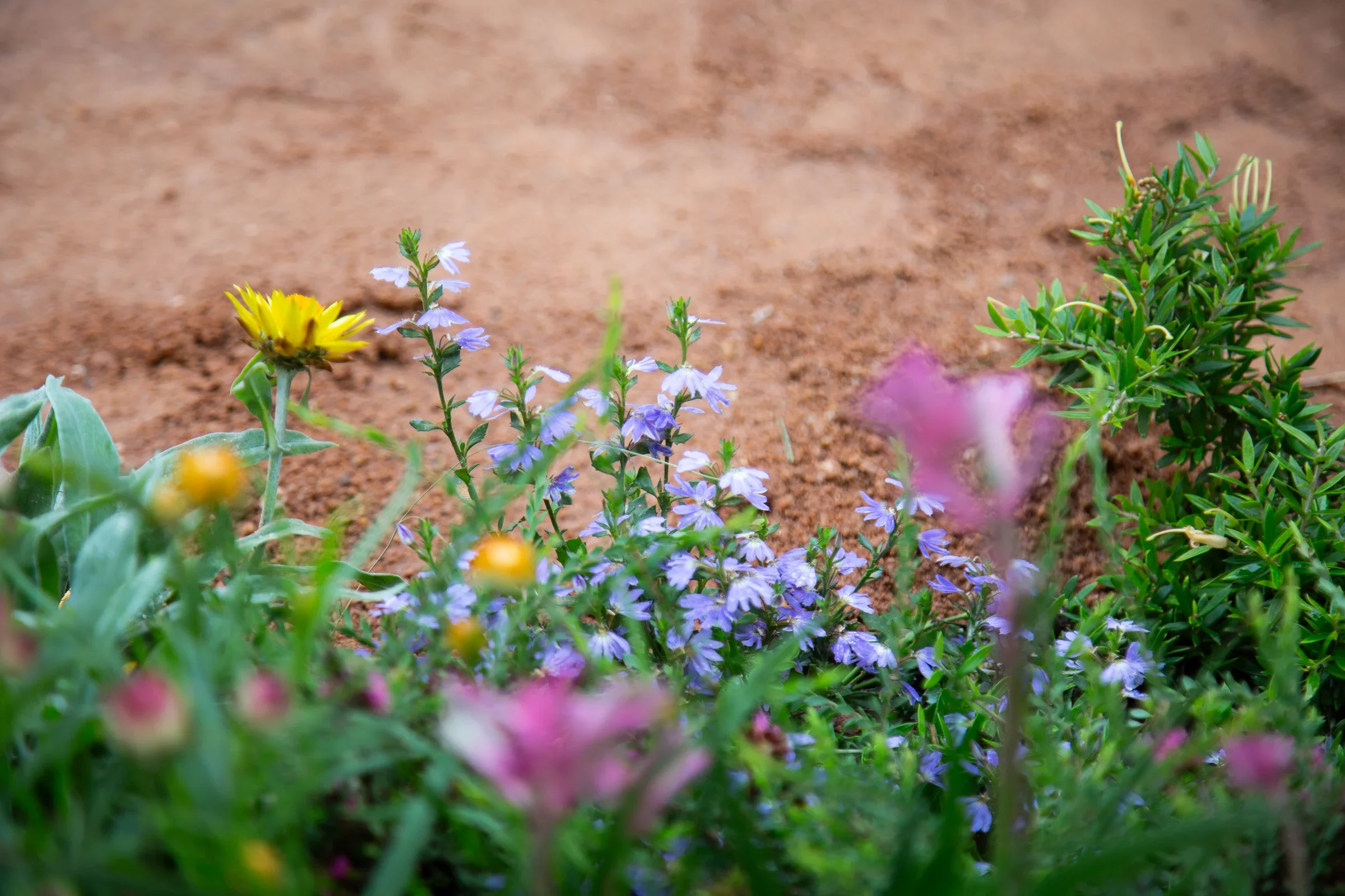 MIFGS_2026_Boutique Garden-45.webp